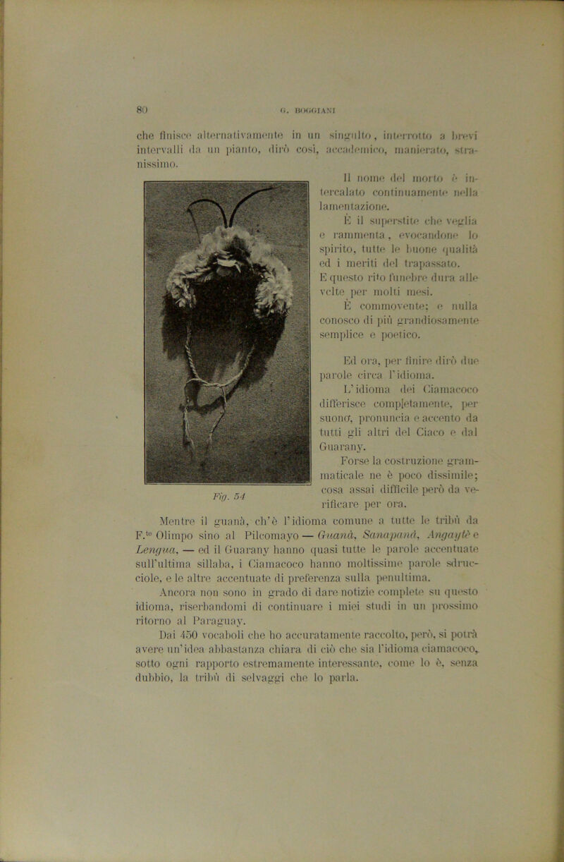 1 80 fi, HOfifilANI che finisci' nlfcrnal.ivMmciite in im intorviilli (In un piniilo, ilii-n cosi, nissiiiio. siiifrnlif», uilvvvoiU) n hi-mi accnilcniicf), iiianifjrnto, sii-a- II nome dei mono <* in- Ifi-calat-o coiitirinamenu* india lamentazione. 1'] il superstite chf^ veglia e ramnifmta , evocandone lo spirito, tutte le Imone fpialitii ed i meriti del trapassalo. E questo rito fhnehre dura alle vclte per molti mesi. E commovente; (* nulla conosco di piò ‘grandiosamente semplice e jioetico. Ed ora, jier Unire dirò due parole circa l’idioma. L’idioma dei Ciamacoco differisce completamente, per siioncf, pronuncia e accento da tutti gli altri del Giaco e dal Guarany. Forse la costruzione gram- maticale ne è poco dissimile; cosa assai diffìcile iterò da ve- rificare per ora. Mentre il guanà, ch’è l’idioma comune a tutte le triltù da F.‘® Olimpo sino al Pilcomayo—Gìianà, Sanapanrì, Angayt^e Lengua, — ed il Guarany hanno quasi tutte le parole accentuate suirultima sillaba, i Ciamacoco hanno moltissime parole sdruc- ciole, e le altre accentuate di preferenza sulla penultima. Ancora non sono in grado di dare notizie complete su questo idioma, riserhandomi di continuare i miei studi in un iirossimo ritorno al Paraguay. Dai 4.Ò0 vocaboli che ho accuratamenti^ raccolto, però, si potrò avere uif idea abbastanza chiara di ciò che sia ridioma ciamacoco, sotto ogni rapporto estremamente interessante, come lo ò, senza dubbio, la tribù di selvaggi che lo parla.