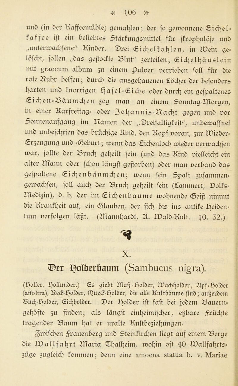 faffee ift ein beliebtes Stärfungsmittel für ffrophulöfe unb „untenrachfene Kinber. Drei Eichel fohlen, in ID ein ge* löfd]!, feilen „bas geftoefte Blut 3erteilen; Sichelhäuslein mit graecum album 511 einem pulper perrieben foll für bie rote Kuhr hc^fcrt ; burch bie ausgehauenen Cödjer ber befonbers barten unb fnorrigen p>afel = Sid]e ober burd] ein gefpaltenes Sid}en*Bäuntchen 50g man an einem Somttag*Znorgen, in einer Karfreitag* ober 3ohannis*Bacht gegen unb por Sonnenaufgang im Bauten ber „Dreifaltigfeit, unbetraffnet unb unbefchrien bas brüchige Kinb, ben Kopf poran, 3ur IDieber* S^eugung unb Geburt; trenn bas Sichenloch trieber penrachfen tpar, follte ber Bruch geheilt fein (unb bas Kinb pielleicht ein alter ITTann ober fdtou längft geftorben) ober man perbanb bas gefpaltene Sichenbäumchen; trenn fein Spalt 3ufammen* geträufen, foll auch ber Bruch geheilt fein (Cammert, Dolfs* IHebgin), b. h* ber im Sichen bäume trohnenbe (Seift nimmt bie Kranf’heit auf, ein (Slauben, ber fich bis ins antife Reiben* tum perfolgen lägt. (KTannharbt, 21 &\db*KuIt. JO. 32.) x. (Per tXilbcvLiiiimi (Sambucus nigra). (Roller, KoHuttbcr.) Ss gtebt ITTag = Sjolbcr, IDad^olber, Kpf*gelber (affoltra), KedM)olber, (Quedbf)olbcr, bic alle Kultbäume firtb; augerbem Bud^fjolber, Stcfybolbcr. Der bjolber ift faft bei jebent Bauern* gehöfte 5U finben; als längft einhämifcher, egbare fruchte tragenber Baum hal ^ uralte Kultbejiehungen. <3trifchen 5rauenberg unb Steinfirchen liegt auf einem Berge bie IDallfahrt IKaria Chalheitn, trohin oft ^0 IDallfahrts* 3Üge 3ttgleid] fommen; beim eine amoena statua b. v. Mariae