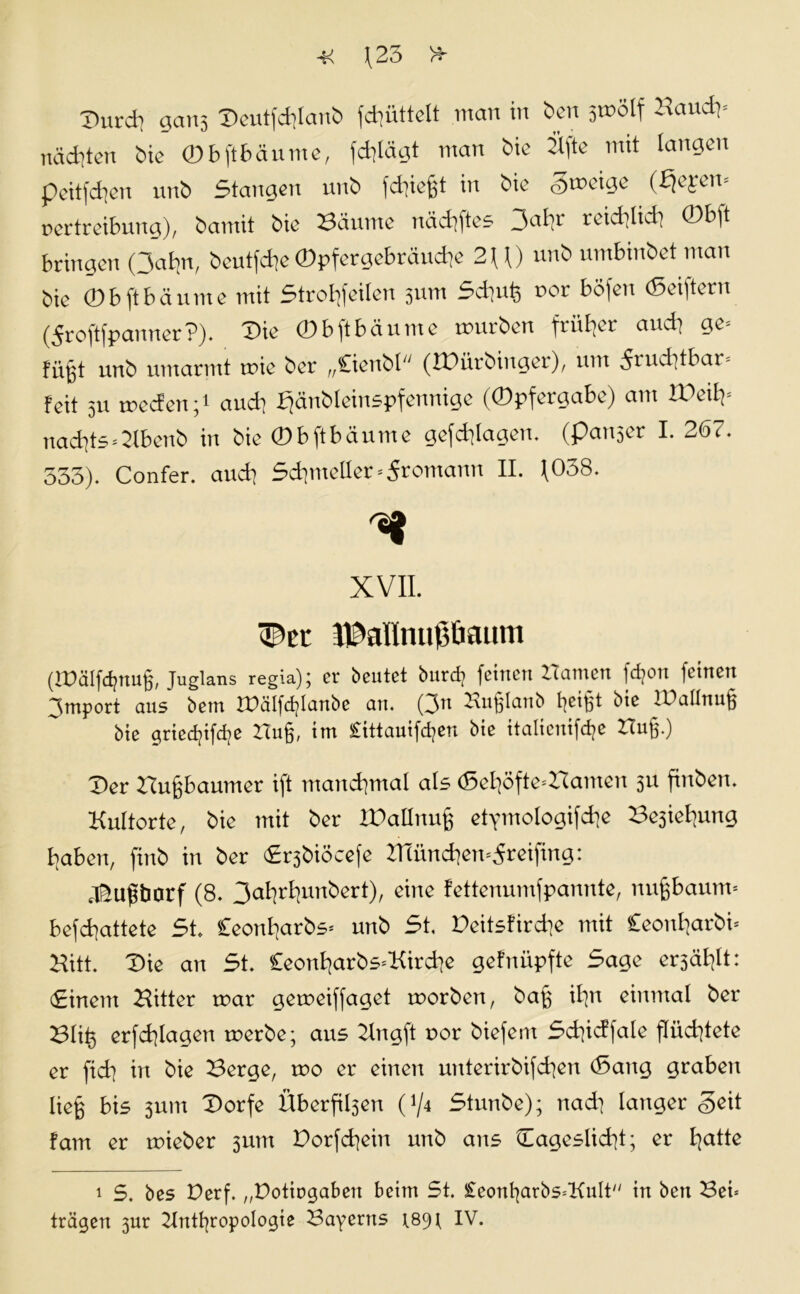 4< (23 * Durd] tjans Deutfd?Ianb fdjüttelt man in ben s^ölf Baucfy näcfyten bie 0b ft bäume, fdjlägt man bie 2i)te mit langen peitfcfyen unb Stangen unb fcfyegt in bie a>n>eige (fjejem uertreibung), bamit bie Bäume näcfyftes 3a^1 teid^Iid] 0bft bringen Qafyt, beutfd^e0pfergebräud]e 2\\) unb umbtnbet man bie 0 b ft bäume mit Stro^feilen 511m Schüfe uor böfen (Seilern (Sroftfpanner?). Die 0 b ft bäume mürben früher and] ge* fügt unb umarmt mie ber „Cienbl (IDürbinger), um 5^nd]tbar= feit 511 mecfen;1 aud] Xrjänbleiuspfeunigc (0pfergabe) am IPeily nad]ts = 2lbenb in bie 0 b ft bäume gef erlagen. (pariser I. 267. 333). Confer, and] Sd]meIIer^romann II. 1038. XVII. MMhiufsöaum (JDälfcfynug, Juglans regia)j er beutet burd} feinen Hennen |d]on feinen Import aus betn IDälfcfylanbe an. (3n Kuglanb Reifst bie IPallnug bie griedjifcfye Hug, im £ittauifcf?en bie italienifd?e Hug.) Der Kugbaumer ift manchmal als <Sel}öfte*Bamen 311 finben. Kultorte, bie mit ber IPatlnug etymotogifd^e Besiegung bßben, finb in ber c£r3biöcefe K7ünd)en*5reifing: ükugbarf (8. 3at]rf|nnbert), eine fettenumfpannte, nugbaum* befdjattete 5t Ceonfyarbs* unb St, Deitsfirdie mit Ceonfyarbi* Kitt. Die an St. £eonf}arbs=Kird]e gefniipfte Sage ersäht: (Einem Kitter mar gemeiffaget morben, bag ifyn einmal ber Blig erfcfylagen merbe; aus Hngft r>or biefem Sd;icffale flüchtete er fidj in bie Berge, mo er einen unterirbifdjen (Sang graben lieg bis 3um Dorfe Überfilsen (J/4 Stunbe); nad] langer §eit fam er mieber sum Porfcfyein unb ans Dageslidjt; er fyatte 1 S. bes Derf. ,,Dotiogaben beim St. £eonl]arbs=KuIt in ben Bei* trägen 3ur Hntfyropologie Bayerns r.89( IV.