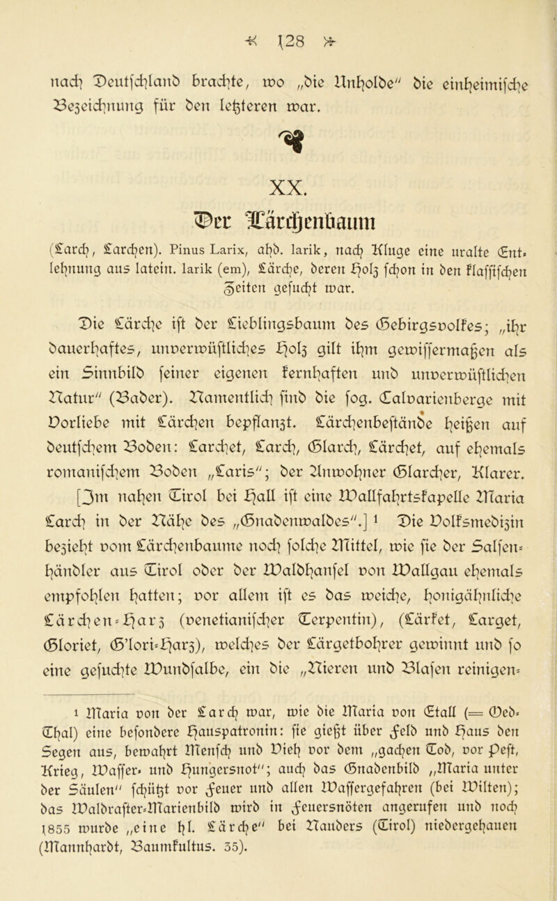 uad) Dcutfdilanb brachte, 100 „bie Unliolbe bie einfyeimifdie Bejeiditumg für ben leiteten tr>ar. XX. 3Dec ?£ärrtjcnliamn (£ard|, £ard?en). Pinus Larix, afjb. larik, nad? Kluge eine uralte (£nt* lebuung aus latem, larik (em), £ärd?e, bereu ^0(3 fcfyon in ben flafftfc^ert fetten gefugt mar. Die Cärd]c ift ber Cieblingsbaum bes (Sebirgsnolfes; „ifyr bauerbaftes, unnermüftlidies bjols gilt ifyrn geuüffermaßen als ein Sinnbilb feiner eigenen fernfyaften unb um>erroüftlidien Hatur (Baber). ZTamentlidj ftnb bie fog. Calnarienberge mit Vorliebe mit £ärd}en bepflanst. Cärd]enbeftänbe feigen auf beutfcbem Bobeit: Cardiet, Card], (Slard], Cärdiet, auf ehemals romanifdiem Boben „Caris; ber Kmnofyter (Slardier, Klarer. [3m na^en Cirol bei bjall ift eine TDallfa^rtsfapelle KTaria Card) in ber Xläfyc bes „(Snabemnalbes.] 1 Die Dolfsmebijin beliebt r»om £ärdjenbaume nod] fo!d]e ZTiittel, toie fie ber Salfen* fyänbler aus Cirol ober ber XDalbl^anfel non XDallgau ehemals empfohlen Ratten; nor allem ift es bas meiere, ^onigäfynlidie Cärdjen* Har3 (uenetianifdjer Cerpentin), (Cärfet, Carget, (5Ioriet, (ß’lorbbjars), rneld^es ber Orgetbofyrer geminnt unb fo eine gefucfyte XDunbfalbe, ein bie „Vieren unb Blafett reinigen* 1 IHaria non ber £ard? mar, mie bie IHaria non CEtall (= 0eb= Cfyal) eine befottbcre bjauspatronin: fie gießt über Jelb unb bjaus beit Segen aus, betratet IHenfd? unb Dieb oor betn „gadjen Cob, nor peft, Krieg, IDaffer* unb Hungersnot; audj bas (Srtabcnbilb „IHaria unter ber Säulen fdjütjt ror Feuer unb allen IPaffergefabren (bei IPilten); bas IPalbrafter*IHarienbilb rntrb in Feuersnöten angerufen unb uocfy ^855 mürbe „eine 1|I. £ärd?e bei Haubers ((Tirol) niebcrgcbauen (IHanntjarbt, BaumFultus. 35).