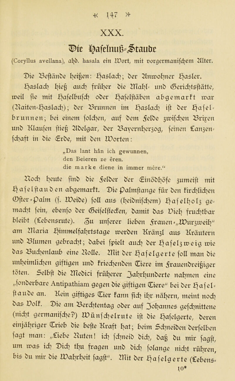 XXX. ©ic ^afelnug^taubc (Coryllus avellana), afyö. hasala ein K)ort, mit üorgermanifcfyem Klter. Die Beftänbe Reißen: bjaslad]; ber Knmohner Rasier. fjaslad] I^ie§ and] früher bie 2Tiaf]I= unb (Serid]tsftätte, meil fie mit bfafelbufcf] ober bjafelftäben abgemarft mar (Baiten^aslad]); ber Brunnen im -bjaslad] ift ber fjafel* brunnen; bei einem folchen, auf bem delbc 3tuifd]en Brisen unb Klaufen fließ 2lbelgar, ber Bayern^ersog, feinen Canseiu fd]aft in bie (Erbe, mit ben IDorten: „Das lant hän ich gewunnen, den Beieren ze ereil. die marke diene in immer mere.“ Bod] feilte finb bie d^ber ber «Einöbhöfe 3umeift mit £] afelftau b en abgemarft. Die palmftange für ben fird]Iid]en 0fter*Pahn (f. iDeibe) foll aus (heibnifchem) b}afeü]ol3 ge* mad]t fein, ebenfo ber (Seifelffecfen, bamit bas Diel] fruchtbar bleibt (Cebensrute). <§u unferer lieben dräuen*„IDm^meih am Blaria ^immelfatjrtstage merben Kreuel aus Kräutern unb Blumen gebracht; babei fpielt and] ber f]afel3raeig mie bas Bud]enlaub eine BoHe. 2Tcit ber fjafelgerte foll man bie unheimlichen giftigen unb fried]enben Diere im drauenbreißiger töten. Selbjt bie BTebici früherer Dahrhunberte nahmen eine „fonberbare Antipathiam gegen bie giftigen Ciere bei ber fjafel* ftaube an. Kein giftiges <iier fann fid] ihr nähern, meint nod] bas Dolf. Die am Berd]tentag ober auf 3ohannes gefd]nittene (nicht germanifche?) IDünfchelrute ift bie ^afeigerte, beren einjähriger Drieb bie befte Kraft hat; beim Sd]neiben berfelben fagt man: „Ciebe Buten! ich fchneib bid], baß bu mir fagft, um mas ich Dich thu fragen unb bid] folange nicht rühren, bis bu mir bie IDahrheit fagft. 2T(it ber fjafelgerte (Cebens* to*