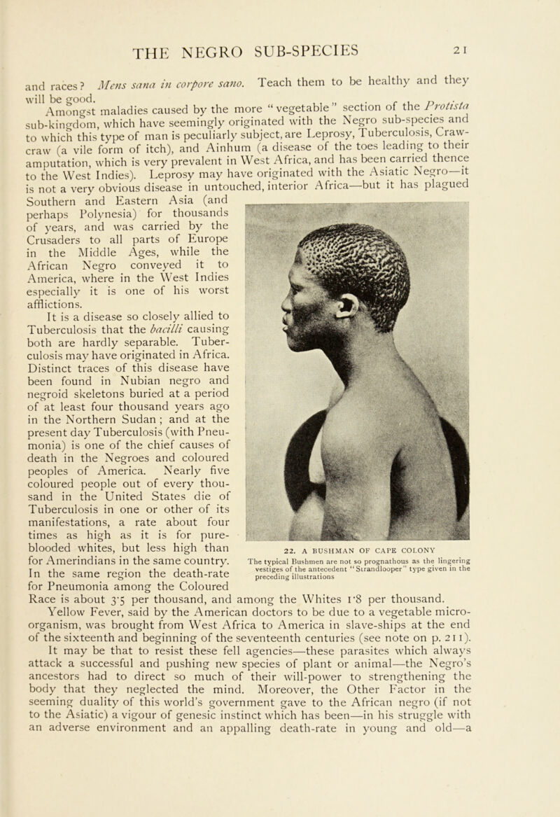 and races? Mens Sana in corpore sano. Teach them to be healthy and they will be good. , , „ . r . n .. . Amongst maladies caused by the more “ vegetable section of the Protista sub-kingdom, which have seemingly originated with the Negro sub-species and to which this type of man is peculiarly subject, are Leprosy, Tuberculosis, Craw- craw (a vile form of itch), and Ainhum (a disease of the toes leading to their amputation, which is very prevalent in West Africa, and has been carried thence to the West Indies). Leprosy may have originated with the Asiatic Negro—it is not a very obvious disease in untouched, interior Africa—but it has plagued Southern and Eastern Asia (and perhaps Polynesia) for thousands of years, and was carried by the Crusaders to all parts of Europe in the Middle Ages, while the African Negro conveyed it to America, where in the West Indies especially it is one of his worst afflictions. It is a disease so closely allied to Tuberculosis that the bacilli causing both are hardly separable. Tuber- culosis may have originated in Africa. Distinct traces of this disease have been found in Nubian negro and negroid skeletons buried at a period of at least four thousand years ago in the Northern Sudan ; and at the present day Tuberculosis (with Pneu- monia) is one of the chief causes of death in the Negroes and coloured peoples of America. Nearly five coloured people out of every thou- sand in the United States die of Tuberculosis in one or other of its manifestations, a rate about four times as high as it is for pure- blooded whites, but less high than 22. A bushman of cape colony for Amerindians in the same country. The typical Bushmen are not so prognathous as the lingering Tn thp rz-crirm th^ Hpatli ratp vestiges of the antecedent “Strandlooper” type given in the in tnc same region inc oeatn-iate preceding illustrations for Pneumonia among the Coloured Race is about 3’5 per thousand, and among the Whites r8 per thousand. Yellow Fever, said by the American doctors to be due to a vegetable micro- organism, was brought from West Africa to America in slave-ships at the end of the sixteenth and beginning of the seventeenth centuries (see note on p. 211). It may be that to resist these fell agencies—these parasites which always attack a successful and pushing new species of plant or animal—the Negro’s ancestors had to direct so much of their will-power to strengthening the body that they neglected the mind. Moreover, the Other Factor in the seeming duality of this world’s government gave to the African negro (if not to the Asiatic) a vigour of genesic instinct which has been—in his struggle with an adverse environment and an appalling death-rate in young and old—a