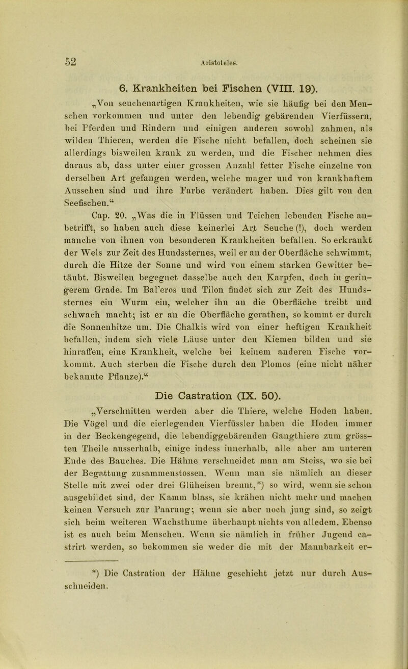 6. Krankheiten bei Fischen (VIII. 19). „Von seucheuartigen Krankheiten, wie sie häufig bei den Men- schen Vorkommen und unter den lebendig gebärenden Vierfüssern, bei Pferden und Rindern und einigen anderen sowohl zahmen, als wilden Thieren, werden die Fische nicht befallen, doch scheinen sie allerdings bisweilen krank zu werden, und die Fischer nehmen dies daraus ab, dass unter einer grossen Anzahl fetter Fische einzelne von derselben Art gefangen werden, welche mager und von krankhaftem Aussehen sind und ihre Farbe verändert haben. Dies gilt von den Seefischen.“ Cap. 20. „Was die in Flüssen und Teichen lebenden Fische an- betrifft, so haben auch diese keinerlei Ar.t Seuche (!), doch werden manche von ihnen von besonderen Krankheiten befallen. So erkrankt der Wels zur Zeit des Hundssternes, weil er an der Oberfläche schwimmt, durch die Hitze der Sonne und wird von einem starken Gewitter be- täubt. Bisweilen begegnet dasselbe auch den Karpfen, doch in gerin- gerem Grade. Im Bal’eros und Tilon findet sich zur Zeit des Hunds- sternes ein Wurm ein, welcher ihn au die Oberfläche treibt und schwach macht; ist er au die Oberfläche gerathen, so kommt er durch die Sonnenhitze um. Die Chalkis wird von einer heftig-eu Krankheit befallen, indem sich viele Läuse unter den Kiemen bilden und sie hinrafi'en, eine Krankheit, welche bei keinem anderen Fische vor- kommt. Auch sterben die Fische durch den Plomos (eine nicht näher bekannte Pflanze).“ Die Castration (IX. 50). „Verschnitten werden aber die Thiere, welche Hoden haben. Die Vögel und die eierlegenden Vierfüssler haben die Hoden immer in der Beckengegend, die lebendiggebärenden Gangthiere zum gröss- ten Theile ausserhalb, einige indess innerhalb, alle aber am unteren Ende des Bauches. Die Hähne verschneidet man am Steiss, wo sie bei der Begattung zusammenstossen. Wenn man sie nämlich an dieser Stelle mit zwei oder drei Glüheisen brennt,*) so wird, wenn sie schon ausgebildet sind, der Kamm blass, sie krähen nicht mehr und machen keinen Versuch zur Paarung; wenn sie aber noch jung sind, so zeigt sich beim weiteren Wachsthuiue überhaupt nichts von alledem. Ebenso ist es auch beim Menscheu. Wenn sie nämlich in früher Jugend ca- strirt werden, so bekommen sie weder die mit der Mannbarkeit er- *) Die Castratiou der Hähne geschieht jetzt nur durch Aus- schneiden.