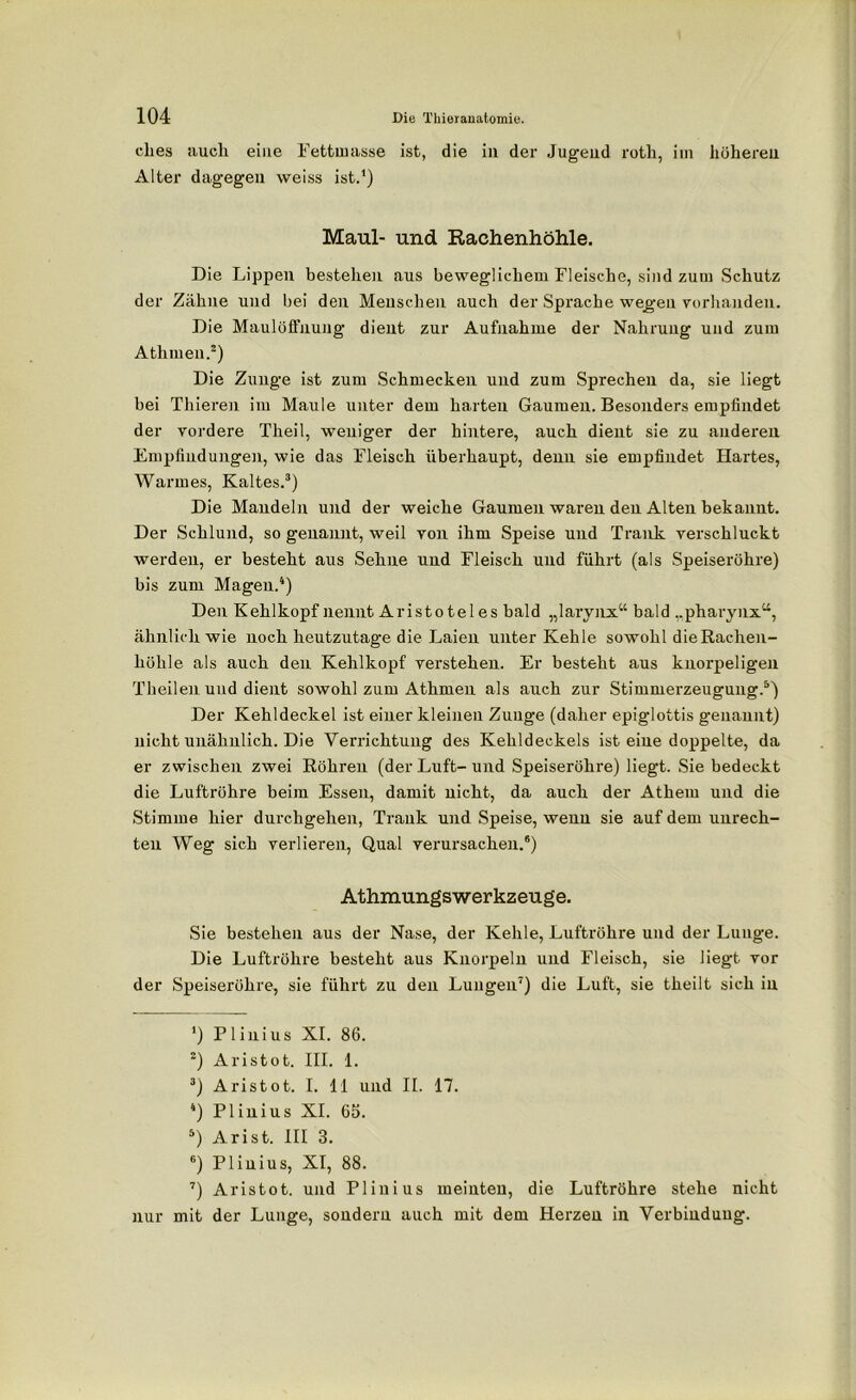 dies auch eine Fettmasse ist, die in der Jugend roth, im höheren Alter dagegen weiss ist.1) Maul- und Rachenhöhle. Die Lippen bestehen aus beweglichem Fleische, sind zum Schutz der Zähne und bei den Menschen auch der Sprache wegen vorhanden. Die Maulöffnung dient zur Aufnahme der Nahrung und zum Athmeu.2) Die Zunge ist zum Schmecken und zum Sprechen da, sie liegt bei Thieren im Maule unter dem harten Gaumen. Besonders empfindet der vordere Theil, weniger der hintere, auch dient sie zu anderen Empfindungen, wie das Fleisch überhaupt, denn sie empfindet Hartes, Warmes, Kaltes.3) Die Mandeln und der weiche Gaumen waren den Alten bekannt. Der Schlund, so genannt, weil von ihm Speise und Trank verschluckt werden, er besteht aus Sehne und Fleisch und führt (als Speiseröhre) bis zum Magen.4) Den Kehlkopf nennt Aristotel es bald „larynx“ bald „pharynx“, ähnlich wie noch heutzutage die Laien unter Kehle sowohl die Rachen- höhle als auch den Kehlkopf verstehen. Er besteht aus knorpeligen Theilenuud dient sowohl zum Athmeu als auch zur Stimmerzeugung.5) Der Kehldeckel ist einer kleinen Zunge (daher epiglottis genannt) nicht unähnlich. Die Verrichtung des Kehldeckels ist eiue doppelte, da er zwischen zwei Röhren (der Luft-und Speiseröhre) liegt. Sie bedeckt die Luftröhre beim Essen, damit nicht, da auch der Athem und die Stimme hier durchgehen, Trank und Speise, wenn sie auf dem Unrech- ten Weg sich verlieren, Qual verursachen.6) Athmungswerkzeuge. Sie bestehen aus der Nase, der Kehle, Luftröhre und der Lunge. Die Luftröhre besteht aus Knorpeln und Fleisch, sie liegt vor der Speiseröhre, sie führt zu den Lungen7) die Luft, sie theilt sich in *) Plinius XI. 86. 2) Aristot. III. 1. 3) Aristot. I. 11 und II. 17. 4) Plinius XI. 65. 5) Arist. III 3. 6) Plinius, XI, 88. 7) Aristot. und Plinius meinten, die Luftröhre stehe nicht nur mit der Lunge, sondern auch mit dem Herzen in Verbindung.