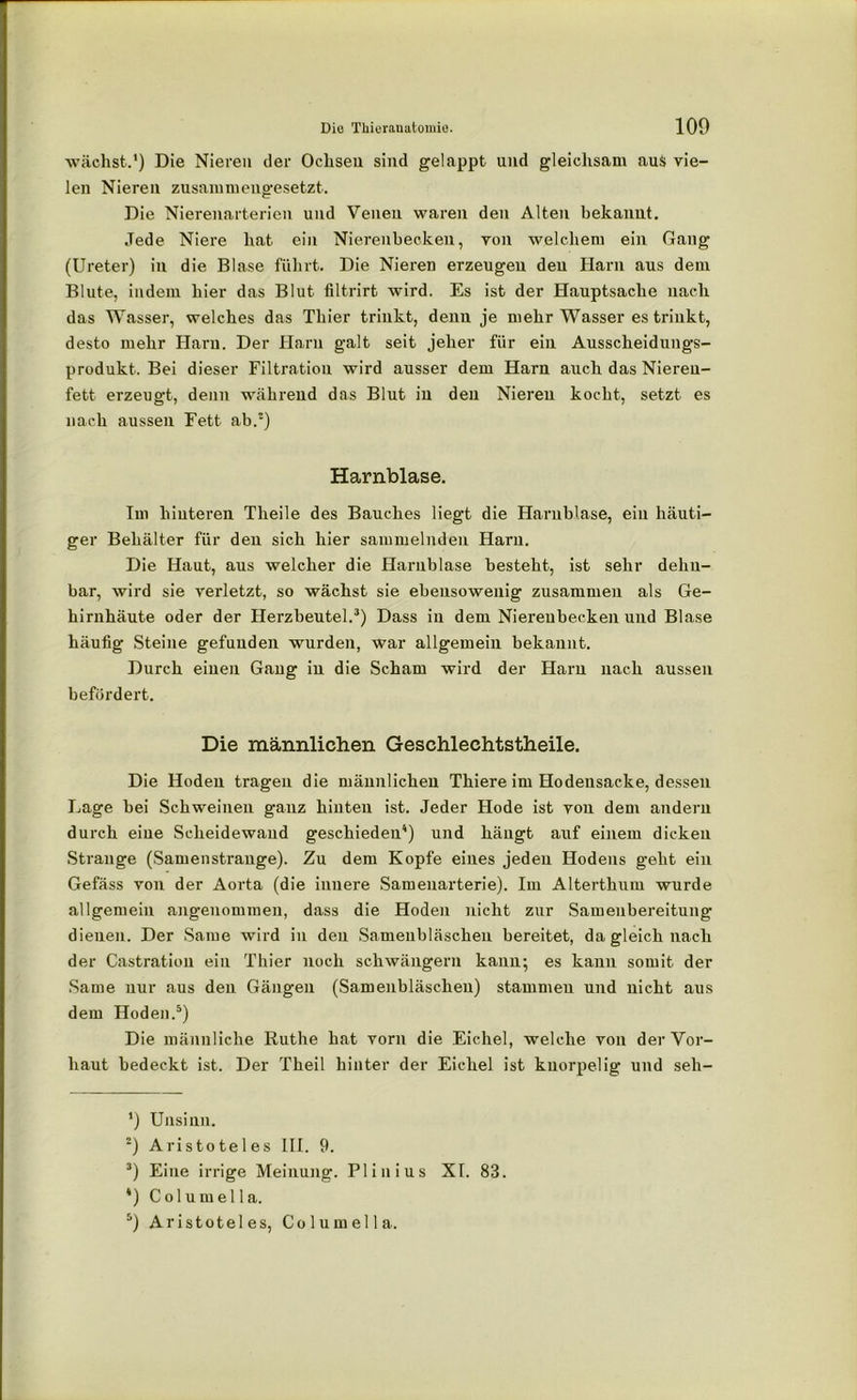wächst.’) Die Nieren der Ochsen sind gelappt und gleichsam aus vie- len Nieren zusammengesetzt. Die Nierenarterien und Venen waren den Alten bekannt. Jede Niere hat ein Nierenbecken, von welchem ein Gang (Ureter) in die Blase führt. Die Nieren erzeugen den Harn aus dem Blute, indem hier das Blut filtrirt wird. Es ist der Hauptsache nach das Wasser, welches das Thier trinkt, denn je mehr Wasser es trinkt, desto mehr Harn. Der Harn galt seit jeher für ein Ausscheidungs- produkt. Bei dieser Filtration wird ausser dem Harn auch das Nieren- fett erzeugt, denn während das Blut in den Nieren kocht, setzt es nach aussen Fett ab.') Harnblase. Im hinteren Tlieile des Bauches liegt die Harnblase, ein häuti- ger Behälter für den sich hier sammelnden Harn. Die Haut, aus welcher die Harnblase besteht, ist sehr dehn- bar, wird sie verletzt, so wächst sie ebensowenig zusammen als Ge- hirnhäute oder der Herzbeutel.* 2 3) Dass in dem Nierenbecken und Blase häufig Steine gefunden wurden, war allgemein bekannt. Durch einen Gang in die Scham wird der Harn nach aussen befördert. Die männlichen Geschlechtstheile. Die Hoden tragen die männlichen Thiere im Hodeusacke, dessen Lage bei Schweinen ganz hinten ist. Jeder Hode ist von dem andern durch eine Scheidewand geschieden4) und hängt airf einem dicken Strange (Samenstrange). Zu dem Kopfe eines jeden Hodens geht ein Gefäss von der Aorta (die innere Samenarterie). Im Alterthum wurde allgemein angenommen, dass die Hoden nicht zur Samenbereitung dienen. Der Same wird in den Sameubläschen bereitet, da gleich nach der Castration ein Thier noch schwängern kann; es kann somit der Same nur aus den Gängen (Sameubläschen) stammen und nicht aus dem Hoden.5) Die männliche Ruthe hat vorn die Eichel, welche von der Vor- haut bedeckt ist. Der Theil hinter der Eichel ist knorpelig und seh- ’) Unsinn. 2) Aristoteles III. 9. J) Eine irrige Meinung. Plinius XI. 83. 4) Columella. 5) Aristoteles, Columella.