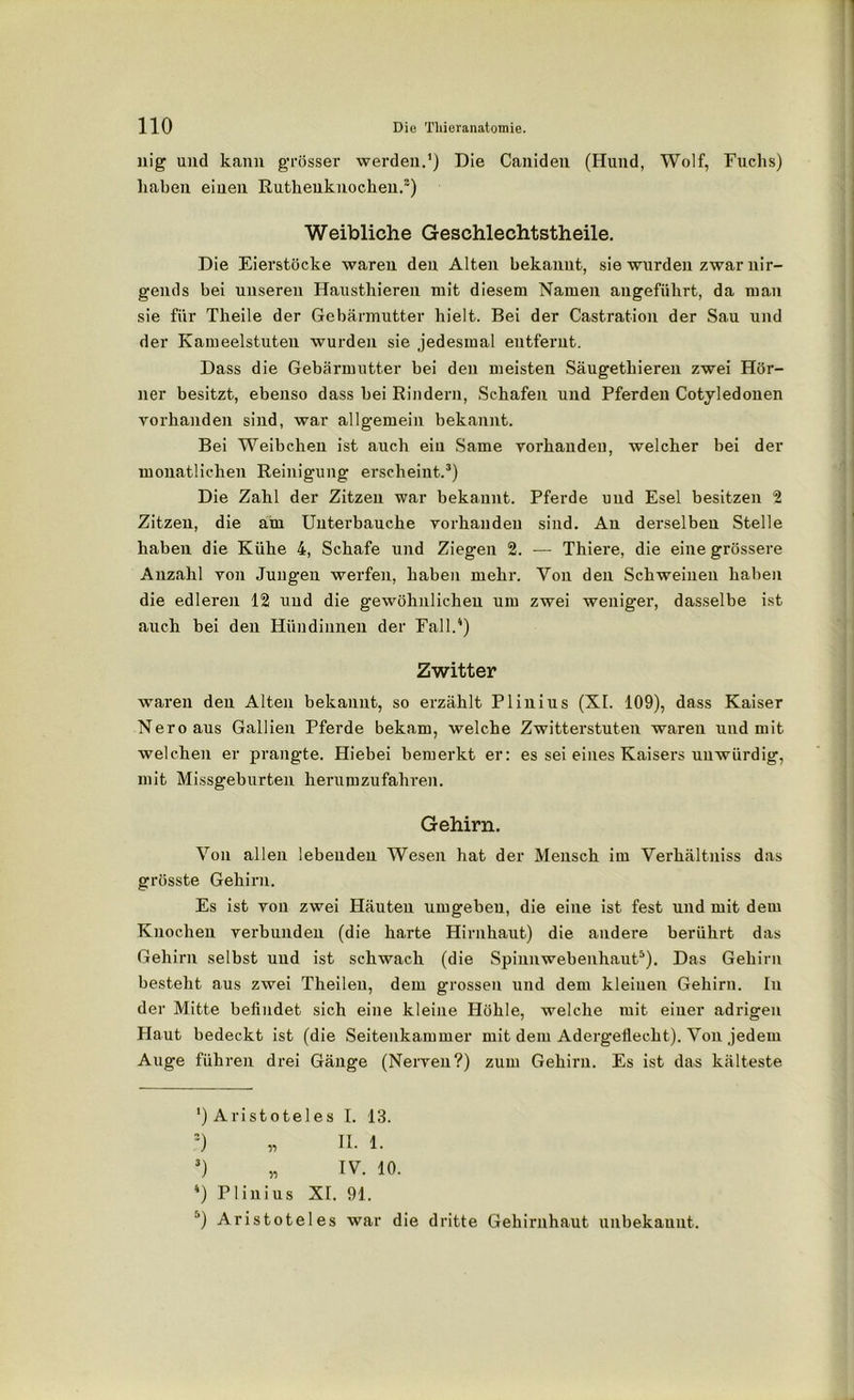 nig und kann grösser werden.') Die Canideu (Hund, Wolf, Fuchs) haben einen Rutheuknochen.* * 3) Weibliche Geschleehtstheile. Die Eierstöcke waren den Alten bekannt, sie wurden zwar nir- gends bei unseren Hausthieren mit diesem Namen angeführt, da man sie für Theile der Gebärmutter hielt. Bei der Castration der Sau und der Kameelstuten wurden sie jedesmal entfernt. Dass die Gebärmutter bei den meisten Säugethieren zwei Hör- ner besitzt, ebenso dass bei Rindern, Schafen und Pferden Cotyledonen vorhanden sind, war allgemein bekannt. Bei Weibchen ist auch ein Same vorhanden, welcher bei der monatlichen Reinigung erscheint.3) Die Zahl der Zitzen war bekannt. Pferde und Esel besitzen 2 Zitzen, die am Unterbauche vorhanden sind. An derselben Stelle haben die Kühe 4, Schafe und Ziegen 2. ■— Thiere, die eine grössere Anzahl von Jungen werfen, haben mehr. Von den Schweinen haben die edleren 12 und die gewöhnlichen um zwei weniger, dasselbe ist auch bei den Hündinnen der Fall.4) Zwitter waren den Alten bekannt, so erzählt Plinius (XL 109), dass Kaiser Nero aus Gallien Pferde bekam, welche Zwitterstuten waren und mit welchen er prangte. Hiebei bemerkt er: es sei eines Kaisers unwürdig, mit Missgeburten herumzufahren. Gehirn. Von allen lebenden Wesen hat der Mensch im Verhältnis das grösste Gehirn. Es ist von zwei Häuten umgeben, die eine ist fest und mit dem Knochen verbunden (die harte Hirnhaut) die andere berührt das Gehirn selbst und ist schwach (die Spinnwebenhaut5). Das Gehirn besteht aus zwei Theileu, dem grossen und dem kleinen Gehirn. In der Mitte befindet sich eine kleine Höhle, welche mit einer adrigen Haut bedeckt ist (die Seitenkammer mit dem Adergeflecht). Von jedem Auge führen drei Gänge (Nerven?) zum Gehirn. Es ist das kälteste ') Aristoteles I. 13. .*) „ II. 1. 3) „ IV. 10. 4) Plinius XI. 91. 5) Aristoteles war die dritte Gehirnhaut unbekannt.