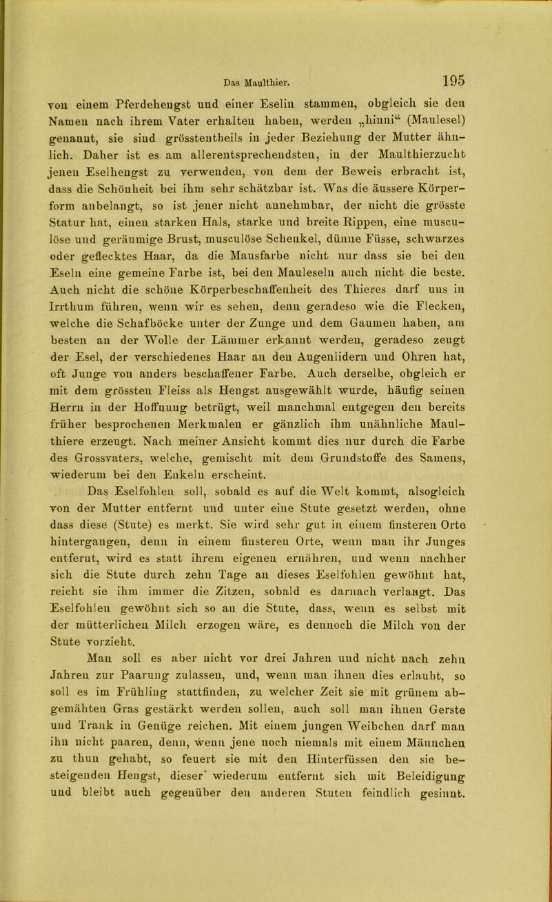 you einem Pferdehengst uud einer Eselin stammen, obgleich sie den Namen nach ihrem Vater erhalten haben, werden „hinni“ (Maulesel) genannt, sie sind grössteutheils in jeder Beziehung der Mutter ähn- lich. Daher ist es am allerentsprechendsten, in der Maulthierzucht jenen Eselhengst zu verwenden, von dem der Beweis erbracht ist, dass die Schönheit bei ihm sehr schätzbar ist. Was die äussere Körper- form anbelangt, so ist jener nicht annehmbar, der nicht die grösste Statur hat, einen starken Hals, starke und breite Rippen, eine muscu- löse und geräumige Brust, musculöse Schenkel, dünne Füsse, schwarzes oder geflecktes Haar, da die Mausfarbe nicht nur dass sie bei den Eseln eine gemeine Farbe ist, bei den Mauleseln auch nicht die beste. Auch nicht die schöne Körperbeschaffeuheit des Thieres darf uns in Irrthum führen, wenn wir es sehen, denn geradeso wie die Flecken, welche die Schafböcke unter der Zunge und dem Gaumen haben, am besten au der Wolle der Lämmer erkannt werden, geradeso zeugt der Esel, der verschiedenes Haar an den Augenlidern und Ohren hat, oft Junge von anders beschaffener Farbe. Auch derselbe, obgleich er mit dem grössten Fleiss als Hengst ausgewählt wurde, häufig seinen Herrn in der Hoffnung betrügt, weil manchmal entgegen den bereits früher besprochenen Merkmalen er gänzlich ihm unähnliche Maul- thiere erzeugt. Nach meiner Ansicht kommt dies nur durch die Farbe des Grossvaters, welche, gemischt mit dem Grundstoffe des Samens, wiederum bei den Enkeln erscheint. Das Eselfohlen soll, sobald es auf die Welt kommt, alsogleich von der Mutter entfernt und unter eine Stute gesetzt werden, ohne dass diese (Stute) es merkt. Sie wird sehr gut in einem finsteren Orte hintergangen, denn in einem finsteren Orte, wenn mau ihr Junges entfernt, wird es statt ihrem eigenen ernähren, uud weun nachher sich die Stute durch zehn Tage an dieses Eselfohlen gewöhnt hat, reicht sie ihm immer die Zitzen, sobald es darnach verlangt. Das Eselfohlen gewöhnt sich so au die Stute, dass, wenn es selbst mit der mütterlichen Milch erzogen wäre, es dennoch die Milch von der Stute vorzieht. Man soll es aber nicht vor drei Jahren und nicht nach zehn Jahren zur Paarung zulasseu, und, wenn mau ihnen dies erlaubt, so soll es im Frühling stattfinden, zu welcher Zeit sie mit grünem ab- gemähten Gras gestärkt werden sollen, auch soll man ihnen Gerste und Trank in Genüge reichen. Mit einem jungen Weibchen darf mau ihn nicht paaren, denn, wenn jene noch niemals mit einem Männchen zu thun gehabt, so feuert sie mit den Hinterfüssen den sie be- steigenden Hengst, dieser' wiederum entfernt sich mit Beleidigung uud bleibt auch gegenüber den anderen Stuten feindlich gesinnt.