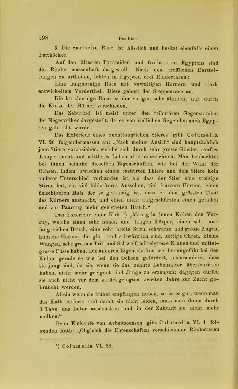 5. Die carische Race ist hässlich und besitzt ebenfalls einen Fetthöcker. Auf den ältesten Pyramiden und Grabstätten Egyptens sind die Rinder massenhaft dargestellt. Nach den trefflichen Darstel- lungen zu urtheilen, lebten in Egypten drei Rinderracen: Eine langhornige Race mit gewaltigen Hörnern und stark entwickeltem Vordertheil. Diese gehört der Steppenrace an. Die kurzhornige Race ist der Torigen sehr ähnlich, nur durch die Kürze der Hörner verschieden. Das Zeburind ist meist unter den tributären Gegenständen der Negervölker dargestellt, da es von südlichen Gegendennach Egyp- ten gebracht wurde. Das Exterieur eines zuchttauglichen Stieres gibt Columella VI. 20 folgendermassen au: „Nach meiner Ansicht sind hauptsächlich jene Stiere vorzuziehen, welche sich durch sehr grosse Gliedei’, sanftes Temperament und mittleres Lebensalter auszeichneu. Man beobachtet bei ihneu beinahe dieselben Eigenschaften, wie bei der Wahl der Ochsen, indem zwischen einem castrirten Thiere und dem Stiere kein anderer Unterschied vorhanden ist, als dass der Stier eine trotzige Stirne hat, ein viel lebhafteres Aussehen, viel kürzere Hörner, einen fleischigeren Hals, der so geräumig ist, dass er den grössten Theil des Körpers ausmacht, und einen mehr aufgeschürzten einen geraden und zur Paarung mehr geeigneten Bauch.“ Das Exterieur einer Kuh: ’) „Man gibt jenen Kühen den Vor- zug, welche einen sehr hohen und langen Körper, einen sehr um- fangreichen Bauch, eine sehr breite Stirn, schwarze und grosse Augen, hübsche Hörner, die glatt und schwärzlich sind, zottige Ohren, kleine Wangen, sehr grossen Trill und Schweif, mittelgrosse Klauen und mittel- grosse Eüsse haben. Die anderen Eigenschaften werden ungefähr bei den Kühen gerade so wie bei den Ochsen gefordert, insbesondere, dass sie jung sind, da sie, wenn sie das zehnte Lebensalter überschritten haben, nicht mehr geeignet sind Junge zu erzeugen; dagegen dürfen sie auch nicht vor dem zurückgelegten zweiten Jahre zur Zucht ge- braucht werden. Allein wenn sie früher empfangen haben, so ist es gut, wenn man das Kalb entfernt und damit sie nicht leiden, muss man ihnen durch 3 Tage das Euter ausdrücken und in der Zukunft sie nicht mehr melken.“ Beim Einkäufe von Arbeitsochsen gibt Columella VI. 1 fol- genden Rath: „Obgleich die Eigenschaften verschiedener Rinderracen ') Columella VI. 21.
