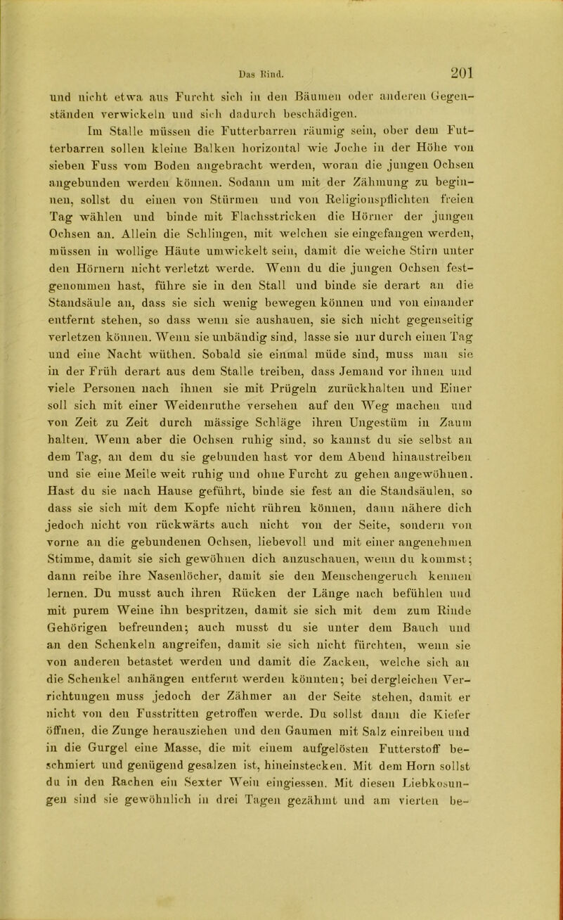 und nicht etwa aus Furcht sich in den Bäumen oder anderen Gegen- ständen verwickeln und sich dadurch beschädigen. Im Stalle müssen die Futterbarren räumig sein, ober dem Fut- terbarren sollen kleine Balken horizontal wie Joche in der Höhe von sieben Fuss vom Boden angebracht werden, woran die jungen Ochsen angebunden werden können. Sodann um mit der Zähmung zu begin- nen, sollst du einen von Stürmen und von Religiouspflichteil freien Tag wählen und binde mit Flachsstricken die Hörner der jungen Ochsen an. Allein die Schlingen, mit welchen sie eingefangen werden, müssen in wollige Häute umwickelt sein, damit die weiche Stirn unter den Hörnern nicht verletzt werde. Wenn du die jungen Ochsen fest- genommen hast, führe sie in den Stall und binde sie derart an die Standsäule an, dass sie sich wenig bewegen können und von einander entfernt stehen, so dass wenn sie aushauen, sie sich nicht gegenseitig verletzen können. Wenn sie unbändig sind, lasse sie nur durch einen Tag und eine Nacht wüthen. Sobald sie einmal müde sind, muss man sie in der Früh derart aus dem Stalle treiben, dass Jemand vor ihnen und viele Personen nach ihnen sie mit Prügeln zurückhalten und Einer soll sich mit einer Weidenruthe versehen auf den Weg machen und von Zeit zu Zeit durch massige Schläge ihren Ungestüm in Zaum halten. Wenn aber die Ochsen ruhig sind, so kannst du sie selbst au dem Tag, an dem du sie gebunden hast vor dem Abend hinaustreiben und sie eine Meile weit ruhig und ohne Furcht zu gehen angewöhnen. Hast du sie nach Hause geführt, binde sie fest an die Standsäulen, so dass sie sich mit dem Kopfe nicht rühren können, dann nähere dich jedoch nicht von rückwärts auch nicht von der Seite, sondern von vorne an die gebundenen Ochsen, liebevoll und mit einer angenehmen Stimme, damit sie sich gewöhnen dich anzuschauen, wenn du kommst; dann reibe ihre Nasenlöcher, damit sie den Menschengerucli kennen lernen. Du musst auch ihren Rücken der Länge nach befühlen und mit purem Weine ihn bespritzen, damit sie sich mit dem zum Rinde Gehörigen befreunden; auch musst du sie uuter dem Bauch und an den Schenkeln augreifeu, damit sie sich nicht fürchten, wenn sie von anderen betastet werden und damit die Zacken, welche sich an die Schenkel anhängeu entfernt werden könnten; bei dergleichen Ver- richtungen muss jedoch der Zahmer an der Seite stehen, damit er nicht von den Fusstritten getroffen werde. Du sollst dann die Kiefer öffnen, die Zunge herausziehen und den Gaumen mit Salz einreiben und in die Gurgel eine Masse, die mit einem aufgelösten Futterstoff be- schmiert und genügend gesalzen ist, hineinstecken. Mit dem Horn sollst du in den Rachen ein Sexter Wein eingiessen. Mit diesen Liebkosun- gen sind sie gewöhnlich in drei Tagen gezähmt und am vierten be-