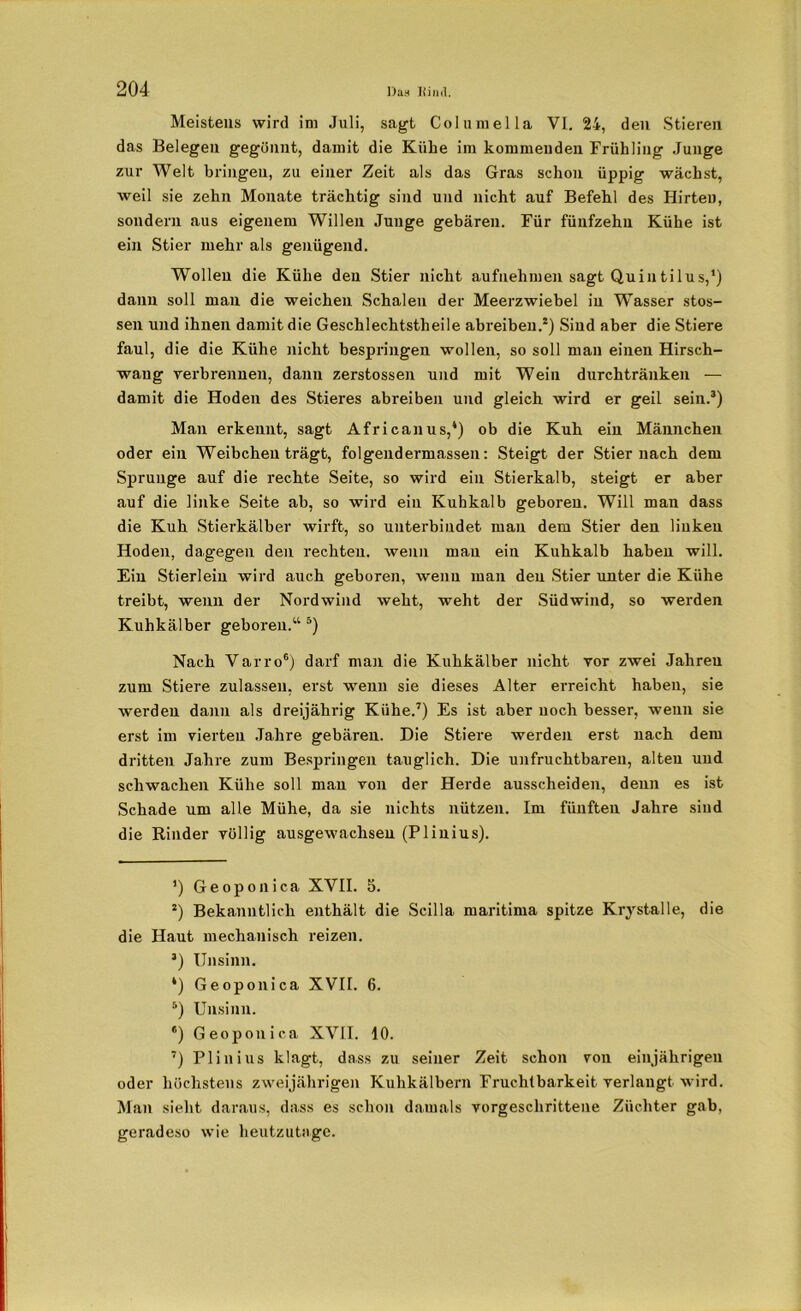 Meistens wird im Juli, sagt Columella VI. 24, den Stieren das Belegen gegönnt, damit die Kühe im kommenden Frühling Junge zur Welt bringen, zu einer Zeit als das Gras schon üppig wächst, weil sie zehn Monate trächtig sind und nicht auf Befehl des Hirteu, sondern aus eigenem Willen Junge gebären. Für fünfzehn Kühe ist ein Stier mehr als genügend. Wollen die Kühe den Stier nicht aufnehmen sagt Quintilus,1) dann soll man die weichen Schalen der Meerzwiebel in W'asser stos- sen und ihnen damit die Geschlechtstheile abreiben.2) Sind aber die Stiere faul, die die Kühe nicht hespringen wollen, so soll man einen Hirsch- waug verbrennen, dann zerstossen und mit Wein durchtränken — damit die Hoden des Stieres abreiben und gleich wird er geil sein.3) Man erkennt, sagt Africanus,4) ob die Kuh ein Männchen oder ein Weibchen trägt, folgendermassen: Steigt der Stier nach dem Sprunge auf die rechte Seite, so wird ein Stierkalb, steigt er aber auf die linke Seite ab, so wird ein Kuhkalb geboren. Will man dass die Kuh Stierkälber wirft, so unterbindet man dem Stier den linken Hoden, dagegen den rechten, wenn mau ein Kuhkalb haben will. Ein Stierlein wird auch geboren, wenn man den Stier unter die Kühe treibt, wenn der Nordwind weht, weht der Südwind, so werden Kuhkälber geboren.“ 5) Nach Varro6) darf man die Kuhkälber nicht vor zwei Jahren zum Stiere zulasseu, erst wenn sie dieses Alter erreicht haben, sie werden dann als dreijährig Kühe.7) Es ist aber noch besser, wenn sie erst im vierten Jahre gebären. Die Stiere werden erst nach dem dritten Jahre zum Bespriugen tauglich. Die unfruchtbaren, alten und schwachen Kühe soll man von der Herde ausscheiden, denn es ist Schade um alle Mühe, da sie nichts nützen. Im fünften Jahre sind die Rinder völlig ausgewachsen (Plinius). 4) Geoponica XVII. 5. 2) Bekanntlich enthält die Scilla maritima spitze Krystalle, die die Haut mechanisch reizen. 3) Unsinn. 4) Geoponica XVII. 6. 5) Unsinn. •) Geoponica XVII. 10. 7) Plinius klagt, dass zu seiner Zeit schon von einjährigen oder höchstens zweijährigen Kuhkälbern Fruchtbarkeit verlangt wird. Man sieht daraus, dass es schon damals vorgeschrittene Züchter gab, geradeso wie heutzutage.