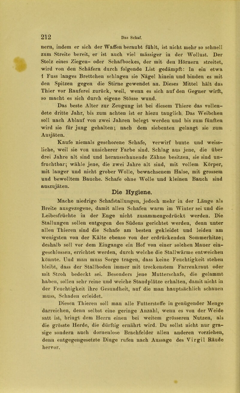 nern, indem er sich der Waffen beraubt fühlt, ist nicht mehr so schnell zum Streite bereit, er ist auch viel massiger in der Wollust. Der Stolz eines Ziegen- oder Schafbockes, der mit den Hörnern streitet, wird von den Schäfern durch folgende List gedämpft: In ein etwa 1 Fuss langes Brettchen schlagen sie Nägel hinein und binden es mit den Spitzen gegen die Stirne gewendet an. Dieses Mittel hält das Thier vor Rauferei zurück, weil, wenn es sich auf den Gegner wirft, so macht es sich durch eigene Stösse wund. Das beste Alter zur Zeugung ist hei diesem Thiere das vollen- dete dritte Jahr, bis zum achten ist er hiezu tauglich. Das Weibchen soll nach Ablauf von zwei Jahren belegt werden und bis zum fünften wird sie für jung gehalten; nach dem siebenten gelangt sie zum Ausjäten. Kaufe niemals geschorene Schafe, verwirf bunte und weiss- liche, weil sie von unsicherer Farbe sind. Schlag aus jene, die über drei Jahre alt siud und herausschauende Zähne besitzen, sie sind un- fruchtbar; wähle jene, die zwei Jahre alt sind, mit vollem Körper, mit langer und nicht grober Wolle, bewachsenem Halse, mit grossem und bewolltem Bauche. Schafe ohne Wolle und kleinen Bauch siud auszujäten. Die Hygiene. Mache niedrige Schafstallungeu, jedoch mehr in der Länge als Breite ausgezogene, damit allen Schafen warm im Winter sei und die Leibesfrüchte in der Enge nicht zusammengedrückt werden. Die Stallungen sollen entgegen des Südens gerichtet werden, denn unter allen Thieren sind die Schafe am besten gekleidet und leiden am wenigsten von der Kälte ebenso von der erdrückenden Sommerhitze; deshalb soll vor dem Eingänge ein Hof von einer solchen Mauer ein- geschlossen, errichtet werden, durch welche die Stallwärme entweicheu könnte. Und man muss Sorge tragen, dass keine Feuchtigkeit stehen bleibt, dass der Stallboden immer mit trockenstem Farrenkraut oder mit Stroh bedeckt sei. Besonders jene Mutterschafe, die gelammt haben, sollen sehr reine und weiche Standplätze erhalten, damit nicht in der Feuchtigkeit ihre Gesundheit, auf die man hauptsächlich schauen muss, Schaden erleidet. Diesen Thieren soll man alle Futterstoffe in genügender Menge darreichen, denn selbst eine geringe Anzahl, wenn es von der Weide satt ist, bringt dem Herrn einen bei weitem grösseren Nutzen, als die grösste Herde, die dürftig ernährt wird. Du sollst nicht nur gra- sige sondern auch dornenlose Brachfelder allen anderen vorzieheu, denn entgegengesetzte Dinge rufen nach Aussage des Virgil Räude hervor.