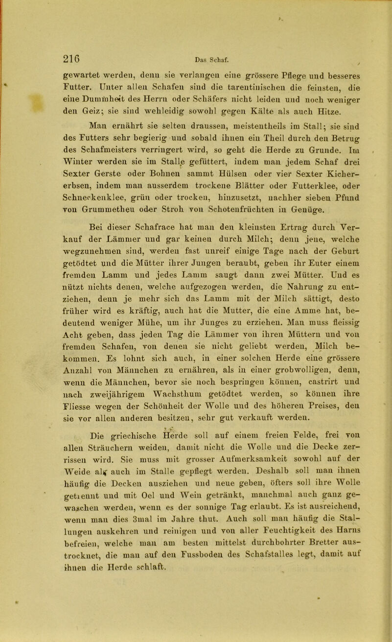 gewartet werden, denn sie verlangen eine grössere Pflege und besseres Futter. Unter allen Schafen sind die tarentinischeu die feinsten, die eine Dummheit des Herrn oder Schäfers nicht leiden und noch weniger den Geiz; sie sind wehleidig sowohl gegen Kälte als auch Hitze. Man ernährt sie selten draussen, meisteutheils im Stall; sie sind des Futters sehr begierig und sobald ihuen ein Theil durch den Betrug des Schafmeisters verringert wird, so geht die Herde zu Grunde. Im Winter werden sie im Stall.e gefüttert, indem man jedem Schaf drei Sexter Gerste oder Bohnen sammt Hülsen oder vier Sexter Kicher- erbsen, indem man ausserdem trockene Blätter oder Futterklee, oder Schneckenklee, grün oder trocken, hinzusetzt, nachher sieben Pfund von Grummetheu oder Stroh von Schoteufrüchten in Genüge. Bei dieser Schafrace hat man den kleinsten Ertrag durch Ver- kauf der Lämmer uud gar keinen durch Milch; denn jene, welche wegzunehmen sind, werden fast unreif einige Tage nach der Geburt getödtet und die Mütter ihrer Jungen beraubt, geben ihr Euter einem fremden Lamm und jedes Lamm saugt dann zwei Mütter. Und es nützt nichts denen, welche aufgezogen werden, die Nahrung zu ent- ziehen, denn je mehr sich das Lamm mit der Milch sättigt, desto früher wird es kräftig, auch hat die Mutter, die eine Amme hat, be- deutend weniger Mühe, um ihr Junges zu erziehen. Man muss fleissig Acht geben, dass jeden Tag die Lämmer von ihren Müttern und von fremden Schafen, von denen sie nicht geliebt werden, Milch be- kommen. Es lohnt sich auch, in einer solchen Herde eine grössere Anzahl von Männchen zu ernähren, als in einer grobwolligen, denn, wenn die Männchen, bevor sie noch bespringen können, castrirt und nach zweijährigem Wachsthum getödtet werden, so können ihre Fliesse wegen der Schönheit der Wolle und des höheren Preises, den sie vor allen anderen besitzen, sehr gut verkauft werden. ?. .-fv. ' Die griechische Herde soll auf einem freien Felde, frei von allen Sträuchern weiden, damit nicht die Wolle uud die Decke zer- rissen wird. Sie muss mit grosser Aufmerksamkeit sowohl auf der Weide alif auch im Stalle gepflegt werden. Deshalb soll man ihnen häufig die Decken ausziehen und neue geben, öfters soll ihre Wolle getieunt und mit Oel uud Wein getränkt, manchmal auch ganz ge- waschen werden, wenn es der sonnige Tag erlaubt. Es ist ausreichend, wenn man dies 3mal im Jahre thut. Auch soll man häufig die Stal- lungen auskehren und reinigen und von aller Feuchtigkeit des Harns befreien, welche man am besten mittelst durchbohrter Bretter aus- trocknet, die man auf den Fussboden des Schafstalles legt, damit auf ihuen die Herde schlaft.