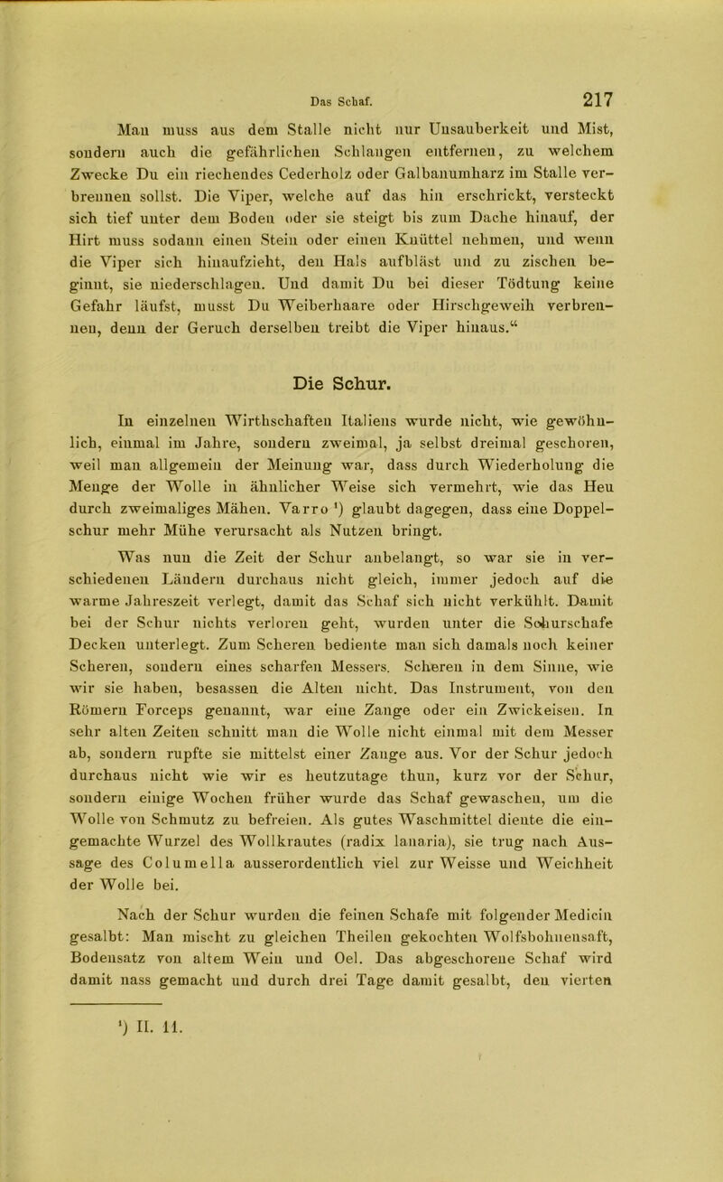 Mau muss aus dem Stalle nicht nur Uusauberkeit und Mist, sondern auch die gefährlichen Schlangen entfernen, zu welchem Zwecke Du ein riechendes Cederholz oder Galbanumharz im Stalle ver- brennen sollst. Die Viper, welche auf das hin erschrickt, versteckt sich tief unter dem Bodeu oder sie steigt bis zum Dache hinauf, der Hirt muss sodaun einen Stein oder einen Kuüttel nehmen, und wenn die Viper sich hiuaufzieht, den Hals aufbläst und zu zischen be- ginnt, sie niederschlagen. Und damit Du bei dieser Tödtung keine Gefahr läufst, musst Du Weiberhaare oder Hirschgeweih verbren- nen, denn der Geruch derselben treibt die Viper hinaus.“ Die Schur. In einzelnen Wirthschafteu Italiens wurde nicht, wie gewöhn- lich, einmal im Jahre, sondern zweimal, ja selbst dreimal geschoren, weil man allgemein der Meinung war, dass durch Wiederholung die Menge der Wolle in ähnlicher Weise sich vermehrt, wie das Heu durch zweimaliges Mähen. Varro *) glaubt dagegen, dass eine Doppel- schur mehr Mühe verursacht als Nutzen bringt. Was nun die Zeit der Schur anbelangt, so war sie in ver- schiedenen Ländern durchaus nicht gleich, immer jedoch auf die warme Jahreszeit verlegt, damit das Schaf sich nicht verkühlt. Damit bei der Schur nichts verloren geht, wurden unter die Sohurschafe Decken unterlegt. Zum Scheren bediente man sich damals noch keiner Scheren, sondern eines scharfen Messers. Scheren in dem Sinne, wie wir sie haben, besasseu die Alten nicht. Das Instrument, von den Römern Forceps genannt, war eine Zange oder ein Zwickeisen. In sehr alten Zeiten schnitt man die Wolle nicht einmal mit dem Messer ab, sondern rupfte sie mittelst einer Zange aus. Vor der Schur jedoch durchaus nicht wie wir es heutzutage thun, kurz vor der Schur, sondern einige Wochen früher wurde das Schaf gewaschen, um die Wolle von Schmutz zu befreien. Als gutes Waschmittel diente die ein- gemachte Wurzel des Wollkrautes (radix lanaria), sie trug nach Aus- sage des Columella ausserordentlich viel zur Weisse und Weichheit der Wolle bei. Nach der Schur wurden die feinen Schafe mit folgender Medicin gesalbt: Man mischt zu gleichen Theilen gekochten Wolfsbohnensaft, Bodensatz von altem Wein und Oel. Das abgeschorene Schaf wird damit nass gemacht und durch drei Tage damit gesalbt, den vierten