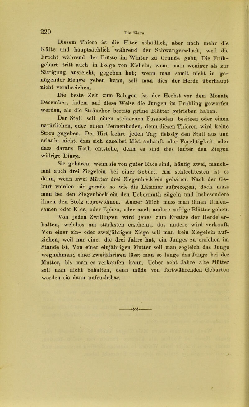 Diesem Tliiere ist die Hitze schädlich, aber noch mehr die Kälte und hauptsächlich während der Schwangerschaft, weil die Frucht während der Fröste im Wiuter zu Grunde geht. Die Früh- geburt tritt auch in Folge von Eicheln, wenn man weniger als zur Sättigung ausreicht, gegeben hat; wenn mau somit nicht in ge- nügender Menge geben kann, soll man dies der Herde überhaupt nicht verabreichen. Die beste Zeit zum Belegen ist der Herbst vor dem Monate December, indem auf diese Weise die Jungen im Frühling geworfen werden, als die Sträucher bereits grüne Blätter getrieben haben. Der Stall soll einen steinernen Fussboden besitzen oder einen natürlichen, oder einen Tennenboden, denn diesen Thieren wird keine Streu gegeben. Der Hirt kehrt jeden Tag fleissig den Stall aus und erlaubt nicht, dass sich daselbst Mist anhäuft oder Feuchtigkeit, oder dass daraus Koth entstehe, denn es sind dies lauter den Ziegen widrige Dinge. Sie gebären, wenn sie von guter Race sind, häufig zwei, manch- mal auch drei Ziegelein bei einer Geburt. Am schlechtesten ist es dann, wenn zwei Mütter drei Ziegenböcklein gebären. Nach der Ge- burt werden sie gerade so wie die Lämmer aufgezogen, doch muss mau bei den Ziegenböcklein den Uebermuth zügeln und insbesondere ihnen den Stolz abgewöhuen. Ausser Milch muss mau ihnen Ulmeu- samen oder Klee, oder Epheu, oder auch andere saftige Blätter geben. Von jeden Zwillingen wird jenes zum Ersätze der Herde er- halten, welches am stärksten erscheint, das andere wird verkauft. Yon einer ein- oder zweijährigen Ziege soll mau kein Ziegelein auf- ziehen, weil nur eine, die drei Jahre hat, ein Junges zu erziehen im Staude ist. Yon einer einjährigen Mutter soll man sogleich das Junge wegnehmeu; einer zweijährigen lässt man so lange das Junge bei der Mutter, bis man es verkaufen kann. Ueber acht Jahre alte Mütter soll man nicht behalten, denn müde von fortwährenden Geburten werden sie dann unfruchtbar.