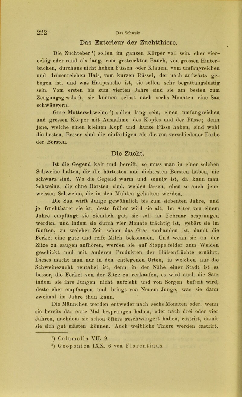 Das Exterieur der Zuehtthiere. Die Zuchteber ') sollen im ganzen Körper roll sein, eher vier- eckig oder rund als lang, vom gestreckten Bauch, von grossen Hinter- backen, durchaus nicht hohen Füssen oder Klauen, vom umfangreichen und driisenreichen Hals, vom kurzen Rüssel, der nach aufwärts ge- bogen ist, und was Hauptsache ist, sie sollen sehr begattungslustig sein. Vom ersten bis zum vierten Jahre sind sie am besten zum Zeugungsgeschäft, sie können selbst nach sechs Monaten eine Sau schwängern. Gute Mutterschweine * 2) sollen lang sein, einen umfangreichen und grossen Körper mit Ausnahme des Kopfes und der Füsse; denn jene, welche einen kleinen Kopf und kurze Füsse haben, sind wohl die besten. Besser sind die einfärbigen als die von verschiedener Farbe der Borsten. Die Zucht. Ist die Gegend kalt und bereift, so muss man in einer solchen Schweine halten, die die härtesten und dichtesten Borsten haben, die schwarz sind. Wo die Gegend warm und sonnig ist, da kann mau Schweine, die ohne Borsten sind, weiden lassen, eben so auch jene weissen Schweine, die in den Mühlen gehalten werden. Die Sau wirft Junge gewöhnlich bis zum siebenten Jahre, und je fruchtbarer sie ist, desto früher wird sie alt. Im Alter von einem Jahre empfängt sie ziemlich gut, sie soll im Februar besprungeu werden, und indem sie durch vier Monate trächtig ist, gebärt sie im fünften, zu welcher Zeit schon das Gras vorhanden ist, damit die Ferkel eine gute und reife Milch bekommen. Und wenn sie an der Zitze zu saugen aufhören, werden sie auf Stoppelfelder zum Weiden geschickt und mit anderen Produkten der Hülsenfrüchte ernährt. Dieses macht mau nur in den entlegenen Orten, in welchen nur die Schweinezucht rentabel ist, denn in der Nähe einer Stadt ist es besser, die Ferkel von der Zitze zu verkaufen, es wird auch die Sau? indem sie ihre Jungen nicht aufzieht und von Sorgen befreit wird, desto eher empfangen und bringt von Neuem Junge, was sie dann zweimal im Jahre thun kann. Die Männchen werden entweder nach sechs Monaten oder, wenn sie bereits das erste Mal besprungeu haben, oder nach drei oder vier Jahren, nachdem sie schon öfters geschwängert haben, castrirt, damit sie sich gut mästen können. Auch weibliche Thiere werden castrirt. ’) Columella VII. 9. 2) Geoponica IXX. 6 von Florentinus.