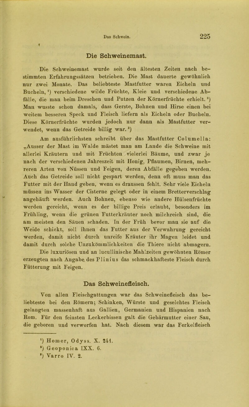 f Die Schweinemast. Die Schweinemast wurde seit den ältesten Zeiten nach be- stimmten Erfahrungssätzen betrieben. Die Mast dauerte gewöhnlich nur zwei Monate. Das beliebteste Mastfutter waren Eicheln und Buchein, ’) verschiedene wilde Früchte, Kleie und verschiedene Ab- fälle, die man beim Dreschen und Putzen der Körnerfrüchte erhielt.2) Man wusste schon damals, dass Gerste, Bohnen und Hirse einen bei weitem besseren Speck und Fleisch liefern als Eicheln oder Buchelu. Diese Körnerfrüchte wurden jedoch nur dann als Mastfutter ver- wendet, wenn das Getreide billig war.3) Am ausführlichsten schreibt über das Mastfutter Columella: „Ausser der Mast im Walde mästet man am Lande die Schweine mit allerlei Kräutern und mit Früchten vielerlei Bäume, und zwar je nach der verschiedenen Jahreszeit mit Honig, Pflaumen, Birnen, meh- reren Arten von Nüssen und Feigen, deren Abfälle gegeben werden. Auch das Getreide soll nicht gespart werden, denn oft muss man das Futter mit der Haud gehen, wenn es draussen fehlt. Sehr viele Eicheln müssen ins Wasser der Cisterue gelegt oder in einem Bretterverschlag angehäuft werden. Auch Bohnen, ebenso wie andere Hülsenfrüchte werden gereicht, wenn es der billige Preis erlaubt, besonders im Frühling, wenn die grünen Futterkräuter noch milchreich sind, die am meisten den Säuen schaden. In der Früh bevor man sie auf die Weide schickt, soll ihnen das Futter aus der Verwahrung gereicht werden, damit nicht durch unreife Kräuter ihr Magen leidet und damit durch solche Unzukömmlichkeiten die Tbiere nicht abmageru. Die luxuriösen und an lucullinische Mahlzeiten gewöhnten Römer erzeugten nach Angabe des Plinius das schmackhafteste Fleisch durch Fütterung mit Feigen. Das Schweinefleisch. Von allen Fleischgattungen war das Schweinefleisch das be- liebteste bei den Römern; Schinken, Würste und geselchtes Fleisch gelaugten massenhaft aus Gallien, Germanien und Hispanien nach Rom. Für den feinsten Leckerbissen galt die Gebärmutter einer Sau, die geboren und verworfen hat. Nach diesem war das Ferkelfleisch ') Homer, Odyss. X. 241. *) Geoponica IXX. 6. ‘) Varro IV. 2.