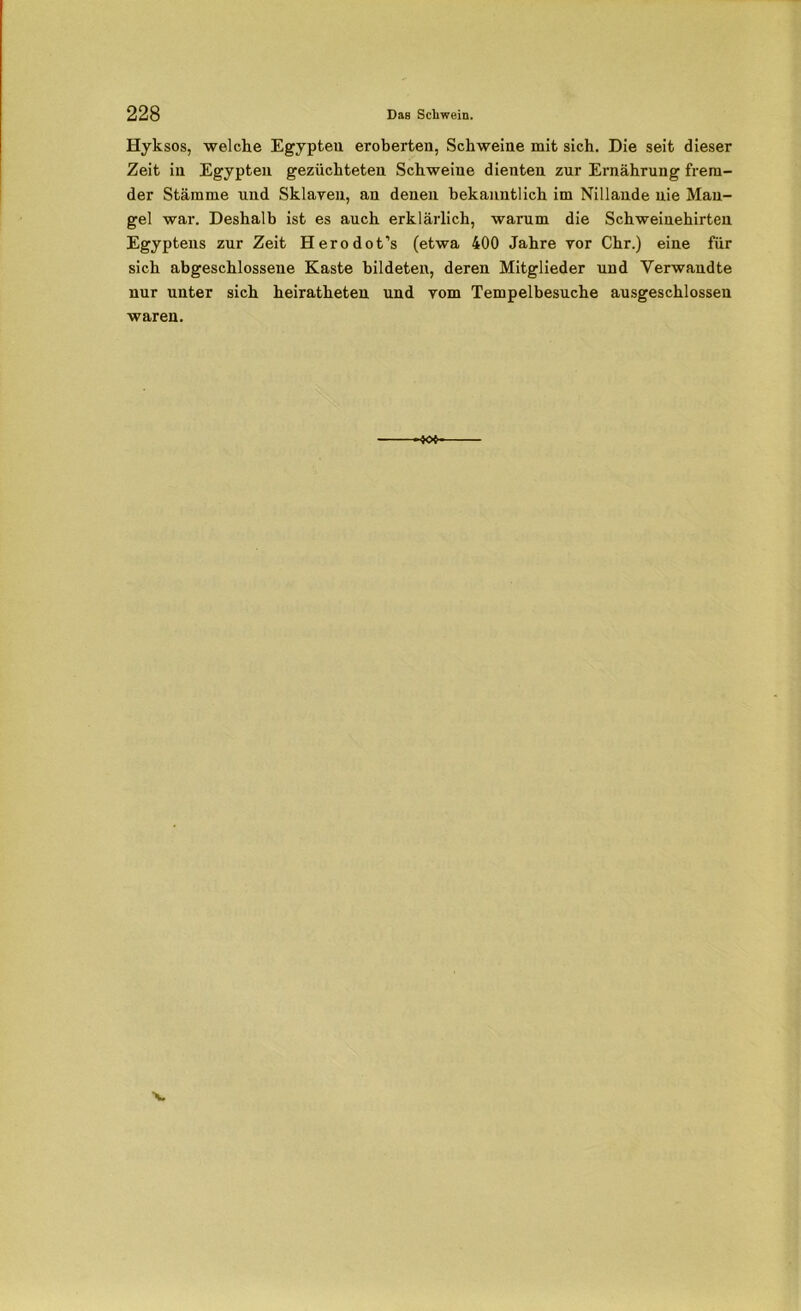 Hyksos, welche Egypteu eroberten, Schweine mit sich. Die seit dieser Zeit in Egypten gezüchteten Schweine dienten zur Ernährung frem- der Stämme und Sklaven, an denen bekanntlich im Nillande nie Man- gel war. Deshalb ist es auch erklärlich, warum die Schweinehirten Egyptens zur Zeit Herodot’s (etwa 400 Jahre vor Chr.) eine für sich abgeschlossene Kaste bildeten, deren Mitglieder und Verwandte nur unter sich heiratheten und vom Tempelbesuche ausgeschlossen waren. ■JOfr
