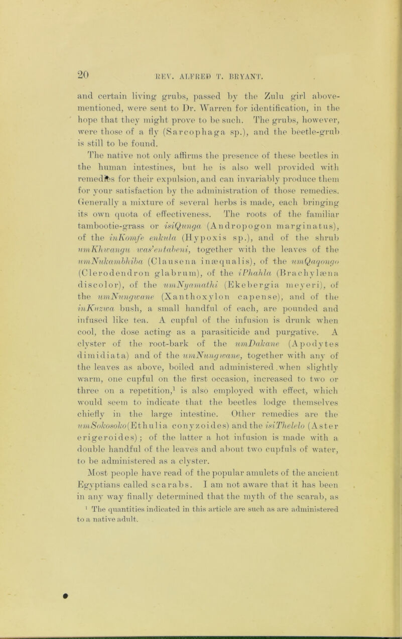 K’KV. ALl'’^^E^) 'r. ERYANT. and certain living- gruljs, ]mssed hy the Zulu girl ahove- mentioned, were sent to Dr. Warren for identification, in the hope that they might prove to he such. 1’he grubs, however, were those of a fly (Sarcophaga sp.), and the beetle-grub is still to be found. 'The native not only affirms the presence of these beetles in the human intestines, but he is also well provided with remedy's for their expulsion, and can invariably pi-oduce them for your satisfaction by the administration of those remedies, (lenerally a mixture of several herbs is made, each bringing its own (piota of effectiveness. '^Jdie roots of the familiar tambootie-grass or isiQuiiya (Andropogon ma rgin a t us), of the iuKomfe enlnda (Hy]')oxis s]).), and of the shrub vmKliirangii rcadeutaheni, together with the leaves of the nmNulxamhhiha (Clansena ininqualis), of the vmQaqongn (Clerodendron glabrnm), of the iPhahla (Hrachyhena discolor), of the 'limKijamat.hi (Mkebergia meyeri), of the umNungwane (Xanthoxylon capense), and of the inKiiziva bush, a small handful of each, are pounded and infused like tea. A cupful of the infusion is drunk Avhen cool, the dose acting as a parasiticide and piirgative. A clyster of the root-bark of the umDalxcme (A])odytes dimidi at a) and of the umNnng ivane, together with any of the leaves as above, boiled and administered .when slightlv warm, one cupful on the first occasion, increased to two or three on a repetition,^ is also employed with effect, which would seem to indicate that the beetles lodge themselves chiefly in the large intestine. Other remedies are the c?n>S'o/ro.s-oA’o(Eth u 1 ia cony ^-oi des) and the isiTheldo (Aster erigeroides) ^ of the latter a hot infusion is made with a double handful of the leaves and about two cnjifuls of water, to be administered as a clyster. Most people have read of thej)opular amulets of the ancient Rgyptians called scarabs. I am not aware that it has been in any way finally determined that the myth of the scarab, as ' The quantities indicated in this article are such as are administered to a native adnlt.