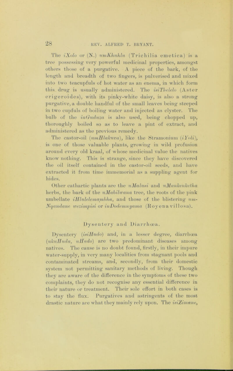 'Phe iXolo or (N.) nmKhnhla (i 1 ia eiiietica) is a tree possessing very powei-fiil medicinal properties, amongst others tliose of a purgative. A piece of the bark, of the length and breadth of two fingers, is pulverised and mixed, into two teacnj)fnls of hot water as an enema, in which fo)'in this drug is nsnally administered. 'Idie islThelelo (Aster erigeroides), with its ])inky-white daisy, is also a strong purgative, a donble handfnl of the small leaves being steeped in two cnpfids of boiling water and injected as clyster, ddie ball) of the in(xiulitza is also used, being cho})ped iij), thoroughly boiled so as to leave a pint of extract, and administered as the previous remedy. 'L'he castor-oil {amHlakiiva), like the Stramonium {iYoU), is one of those valuable plants, growing in wild })rofusio]i around every old kraal, of whose medicinal value the natives know nothing. This is strange, since they have discovered the oil itself contained in the castor-oil seeds, and have extracted it fi’om time immemorial as a suppling agent for hides. Other cathartic plants are the uMalu-'ii and nMaitlitukefha herbs, the bark of the tiMahilivana tree, the roots of the pink umbellate iHhdelemamhha, and those of the blistering nm- Nqandane tcezinipisi or iuDodemn yama (11 oy e n a v i 11 o sa). Oysentery and Uiarrhoea. Dysentery {i.siHudo) and, in a lesser degree, tliarrhoea {ukuHiida, ulindu) are two predominant diseases among natives. The canse is no doubt found, firstly, in their impure water-su])ply, in very many localities from stagnant pools and contaminated streams, and, secondly, from their domestic system not permitting sanitary methods of living. Though they are aware of the difference in the symptoms of these two complaints, they do not recognise any essential difference in their nature or treatment. Their sole effort in both cases is to stay the hnx. Purgatives and astringents of the most drastic nature are what they mainly rely upon. The itfiZimane,