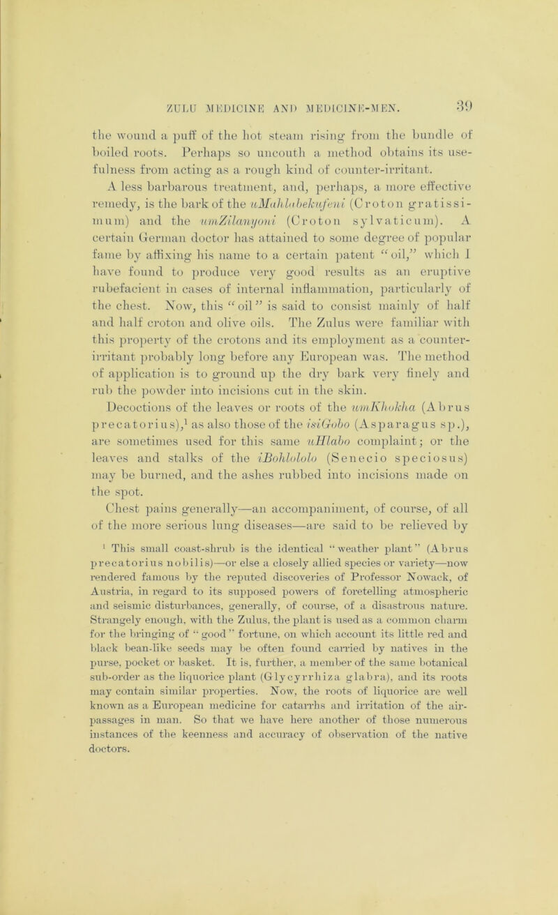 the wound a putt' of the liot steam rising from the bundle of boiled roots. Perhaps so uncouth a method obtains its use- fulness from acting as a rough kind of countei’-irritant. A less barbarous treatment, and, perhaps, a more elfective remedy, is the bark of the aMahlnhehitfenL (Croton gratissi- muni) and the nmZilanijo)iL (Croton sylvaticum). A certain Cermaii doctor has attained to some degree of popular fame by attixing his name to a certain patent “oil,” which 1 have found to produce very good results as an eruptive rubefacient in cases of internal intlammation, particularly of the chest. Xow, this “oil” is said to consist mainly of half and half croton and olive oils. The Zulus were familiar with this j)roperty of the crotons and its employment as a counter- irritant ]n’obably long before any European was. hdie method of application is to ground up the dry bark very tinely and rub the powder into incisions cut in the skin. Decoctions of the leaves or roots of the uniKhohha (Abrus precatorius),^ as also those of the iulGoho (Asparagus sp.), are sometimes used for this same uHlaho complaint; or the leaves and stalks of the iBoMololo (Senecio speciosus) may be burned, and the ashes rubbed into incisions made on the spot. Chest pains generally—an accompaniment, of course, of all of the more serious lung diseases—are said to be relieved by ‘ This small coast-shrub is the identical “weather plant (Abrns precatorius nobilis)—or else a closely allied species or variety—now rendered famous l>y the reputed discoveries of Professor Nowack, of Austria, in regard to its supposed powers of foretelling atmospheric and seismic disturbances, generally, of course, of a disastrous nature. Strangely enough, with the Zulus, the plant is nsed as a common charm for the bringing of “ good  fortune, on which account its little red and black bean-like seeds may l)e often found carried by natives in the purse, pocket or basket. It is, further, a member of the same botanical sub-order as the liquorice plant (Glycyrrhiza glabra), and its roots may contain similar in-operties. Now, the roots of liquorice are well knowm as a European medicine for catarrhs and irritation of the aii-- passages in man. So that we have here another of those ni;nierous instances of the keenness and accuracy of observation of the native doctors.