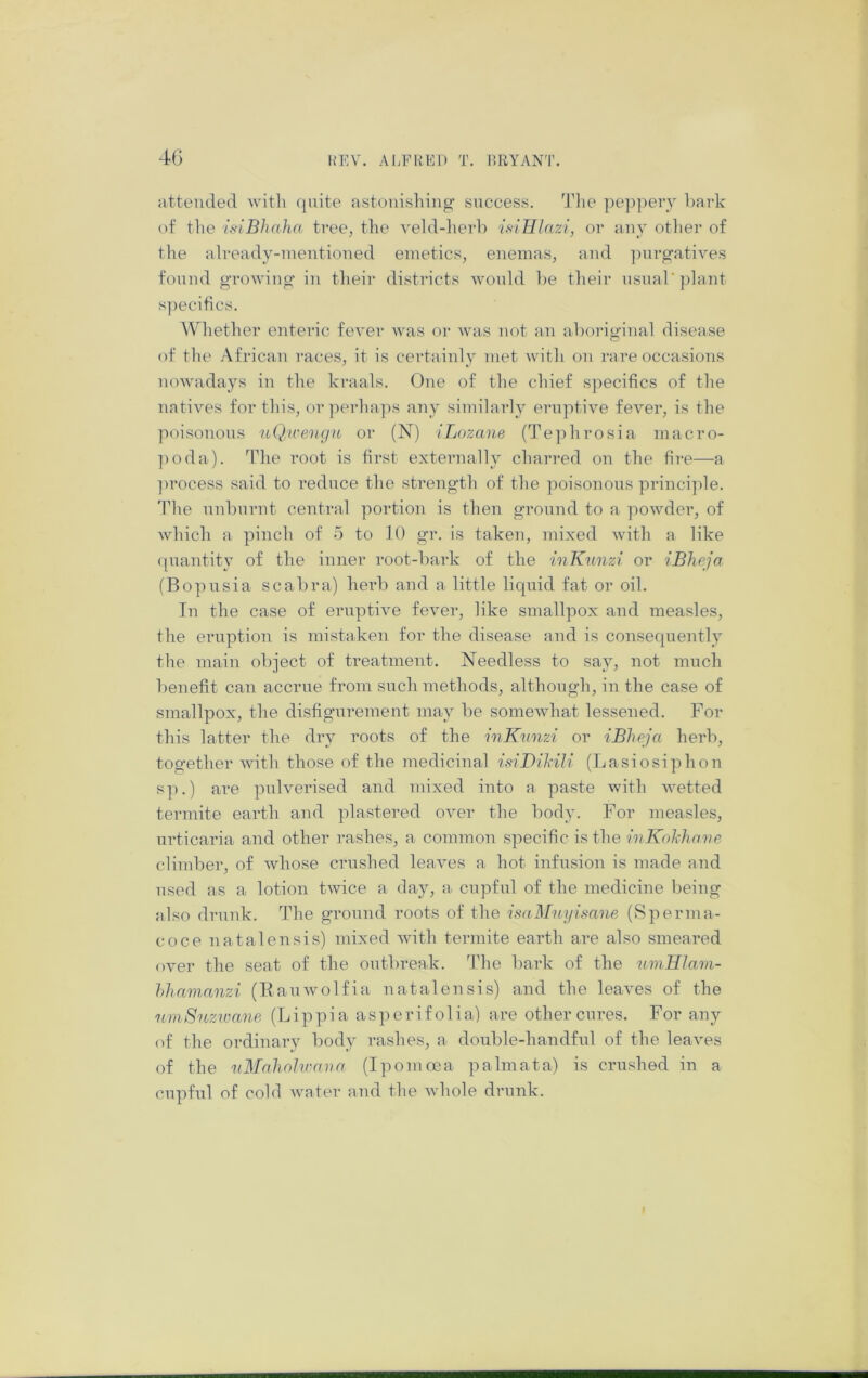 iittended with (piite astonishing’ success. 'J’he pep|)ery hack of the ifiiBhaha tree, the veld-lierl) isiElazi, or any otlier of the already-mentioned emetics, enemas, and ])iirgatives found groAving' in tlieir districts would he their nsnal'plant s])ecifics. Whether enteric fever was or was not an ahoriginal disease of the African races, it is certainly met with on rare occasions nowadays in the kraals. One of the chief s])ecifics of the natives for this, or perhaps any similarly eruptive fever, is the pihsonons uQ.wengn or (N) iLozane (Tephrosia macro- ]ioda). The root is first externally charred on the fire—a ])rocess said to reduce the strength of the poisonous principle. 'Idle nnhnrnt central portion is then ground to a powder, of which a pinch of 5 to TO gr. is taken, mixed with a like ipiantity of the inner root-liark of the inKiinzi or iBheja (Bopusia scahra) herh and a little liquid fat or oil. In the case of eruptive fever, like smallpox and measles, the eruption is mistaken for the disease and is consequently the main object of treatment. Needless to say, not much benefit can accrue from such methods, although, in the case of smallpox, the disfigurement may be somewhat lessened. For this latter the dry roots of the inKtnizi or iBheja herb, together with those of the medicinal isiDihili (Lasiosiphon sp.) ai’e pulverised and mixed into a paste with Avetted termite earth and plastered OAmr the body. For measles, m'ticaria and other rashes, a common specific is the inKokhnne climber, of whose crushed leaves a hot infusion is made and used as a lotion twice a day, a cupful of the medicine being also drunk. The ground roots of the isaMnyisane (Sperma- coce natalensis) mixed Avith termite earth are also smeared oAmr the seat of the outl)reak. The bark of the umHlam- hhamanzi (RauAvolfia natal ensis) and the leaAms of the nmSnzwane (Lippi a asperifolia) are other cures. For any of the ordinary body rashes, a double-handful of the learms of the nMaliohrana (Ipomoca palmata) is crushed in a cupful of cold Avater and the AA’hole drunk.