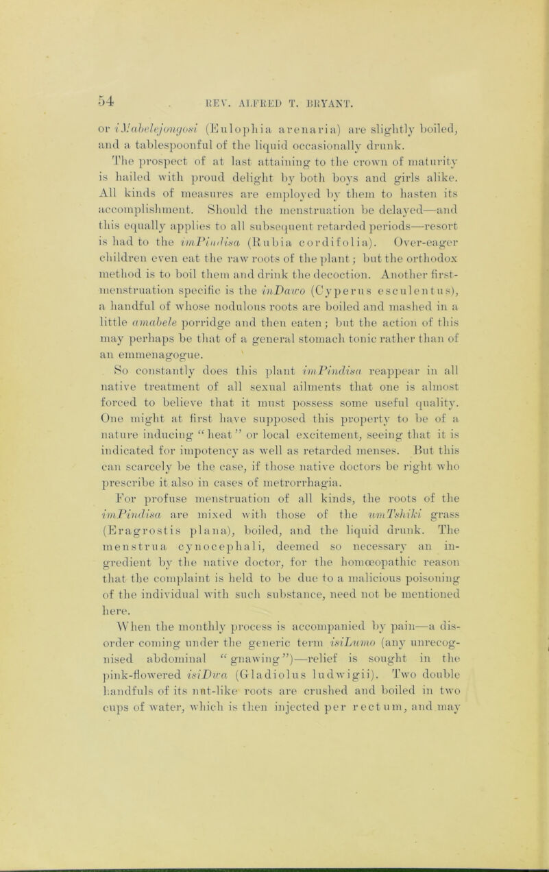 or i }J ahelejonyoKi' (Eulopliia a vena ri a) are slightly boiled, and a tables})Oonful of the liquid occasionally drunk. The prospect of at last attaining to the crown of maturity is hailed with proud delight h^^ both hoys and girls alike. All kinds of measures are employed hy them to hasten its accomplishment. Should the menstruation he delayed—and this cnpially applies to all subse(pieut retarded ])eriods—resort is had to the i)iiPimU.sa (Rubia cordifolia). Over-eager children even eat the raw roots of the ])lant; but the orthodox method is to boil them and drink the decoction. Another first- menstruation specific is the inDaico (Cy perns esculent us), a handful of whose nodulous roots are boiled and mashed in a little amahele porridge and then eaten ; but the action of this may perhaps be that of a general stomach tonic rather than of an emmenagoo-ue. o O So constantly does this plant i)nFindisa reappear in all native treatment of all sexual ailments that one is almost forced to believe that it must possess some useful quality. One might at first have supposed this property to be of a nature inducing 'Oieat ” or local excitement, seeing that it is indicated for impotency as well as retarded menses. Rut this can scarcely be the case, if those native doctors be right who prescribe it also in cases of metrorrhagia. For profuse menstruation of all kinds, the roots of the imPindisa are mixed Avith those of the umTtthil'i grass (Eragrostis plana), boiled, and the liquid drunk. The menstrua cynocephali, deemed so necessary an in- gredient by the native doctor, tor the homcnopathic reason that the complaint is held to be due to a malicious poisoning of the individual Avith such substance, need not be mentioned here. \\’hen the monthly process is accompanied by pain—a dis- order coming under the generic term isiLivmo (any unrecog- nised abdominal “gnaAving”)—relief is sought in the ])ink-floAvered P-iDica (Gladiolus ludAvigii). Tavo double Inindfuls of its nut-like roots are crushed and boiled in tAvo cups of Avater, Avhich is tlien injected per rectum, and may