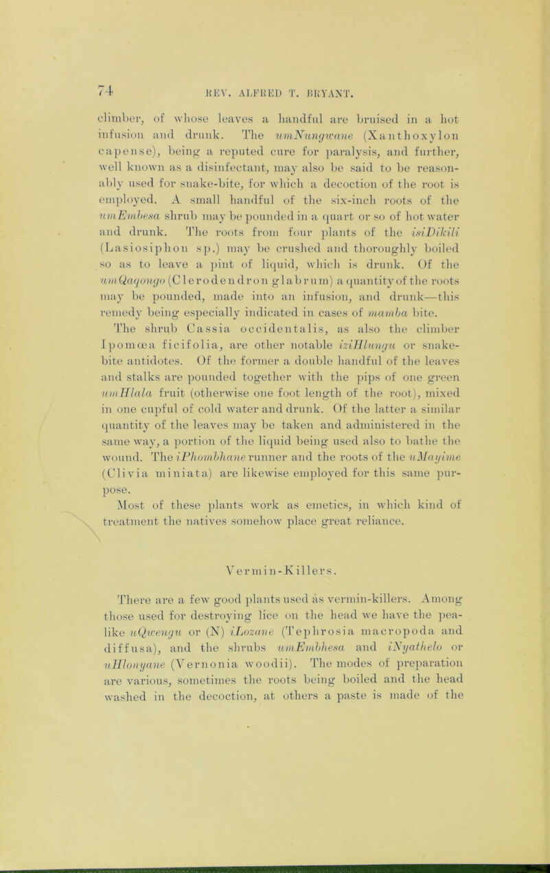 climl)er, of wliose leaves a liaiidful are bruised in a hot infusion and drunk. 'J'lie umNunyicane (Xanthoxylon cap ease), being’ a reputed cure for ])aralysis, and furtlier^ well known as a disinfeetanb may also be said to be reason- ably used for snake-bite, for which a decoction of the root is employed, A small handful of the six-inch I'oots of the \imEml>esa shrub may be pounded in a quart or so of hot water and drunk. The roots from four plants of the isiDil-cili (Lasiosiphon sp.) may be crushed and thoroug-hly boiled so as to leave a pint of licpiid, which is drunk. Of the uinQaqonyo {C\evodendvon glabrum) a quantity of the roots may be pounded, made into an infusion, and drunk—this remedy being especially indicated in cases of mamha bite. The shrub Cassia occidentalis, as also the clind)er IpouKea ficifolia, are other notable aiHlnnyu or snake- bite antidotes. Of the former a double handful of the leaves and stalks are pounded together with the pips of one green luuHlala fruit (otherwise one foot length of the root), mixed in one cupful of cold water and drunk. Of the latter a similar (piantity of the leaves may be taken and administered in the same way, a portion of the licpiid being used also to bathe the wound. The iFhomhhane vmmer and the roots of the uMaylme (Olivia miniata) are likewise employed for this same pur- pose. Most of these ])lants work as emetics, in which kind of treatment the natives somehow place great reliance. e r in i n - K i 11 e r s. There are a few good plants used as vermin-killers. Among those used for destroying lice on the head we have the pea- like uQiceuyu or (N) iLozmie (Tephrosia macropod a and diffusa), and the shrubs umEmhhe.sa and iNyathelu or uHlonyane (Vernonia woodii). The modes of preparation are various, sometimes the roots being boiled and the head washed in the decoction, at others a paste is made of the