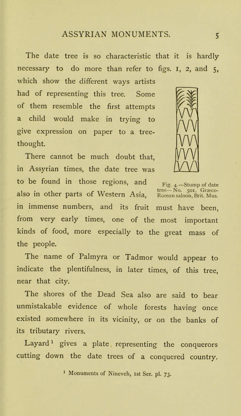 The date tree is so characteristic that it is hardly necessary to do more than refer to figs, i, 2, and 5, which show the different ways artists had of representing this tree. Some of them resemble the first attempts a child would make in trying to give expression on paper to a tree- thought. There cannot be much doubt that, in Assyrian times, the date tree was to be found in those regions, and Fig. 4,-Stump of date 1 • .1 , /- TTT * . tree—-No. soi, Graeco- also m other parts of Western Asia, Roman saloon, Brit. Mus. in immense numbers, and its fruit must have been, from very early times, one of the most important kinds of food, more especially to the great mass of the people. The name of Palmyra or Tadmor would appear to indicate the plentifulness, in later times, of this tree, near that city. The shores of the Dead Sea also are said to bear unmistakable evidence of whole forests having once existed somewhere in its vicinity, or on the banks of its tributary rivers. Layard ^ gives a plate representing the conquerors cutting down the date trees of a conquered country. 1 Monuments of Nineveh, ist Ser. pi. 73.