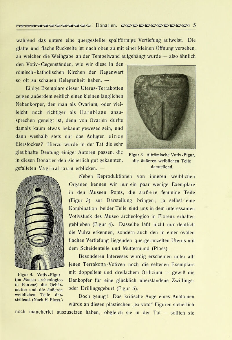 während das untere eine quergestellte spaltförmige Vertiefung aufweist. Die glatte und flache Rückseite ist nach oben zu mit einer kleinen Öffnung versehen, an welcher die Weihgabe an der Tempelwand aufgehängt wurde — also ähnlich den Votiv-Gegenständen, wie wir diese in den römisch-katholischen Kirchen der Gegenwart so oft zu schauen Gelegenheit haben. — Einige Exemplare dieser Uterus-Terrakotten zeigen außerdem seitlich einen kleinen länglichen Nebenkörper, den man als Ovarium, oder viel- leicht noch richtiger als Harnblase anzu- sprechen geneigt ist, denn von Ovarien dürfte damals kaum etwas bekannt gewesen sein, und dann weshalb stets nur das Anfügen eines Eierstockes? Hierzu würde in der Tat die sehr glaubhafte Deutung einiger Autoren passen, die in diesen Donarien den sicherlich gut gekannten, gefalteten Vaginalraum erblicken. Neben Reproduktionen von inneren weiblichen Organen kennen wir nur ein paar wenige Exemplare in den Museen Roms, die äußere feminine Teile (Figur 3) zur Darstellung bringen; ja selbst eine Kombination beider Teile sind uns in dem interessanten Votivstück des Museo archeologico in Florenz erhalten geblieben (Figur 4). Dasselbe läßt nicht nur deutlich die Vulva erkennen, sondern auch den in einer ovalen flachen Vertiefung liegenden quergerunzelten Uterus mit dem Scheidenteile und Muttermund (Floss). Besonderen Interesses würdig erscheinen unter all’ jenen Terrakotta-Votiven noch die seltenen Exemplare mit doppeltem und dreifachem Orificium — gewiß die Dankopfer für eine glücklich überstandene Zwillings- oder Drillingsgeburt (Figur 5). Doch genug! Das kritische Auge eines Anatomen würde an diesen plastischen „ex voto“ Figuren sicherlich noch mancherlei auszusetzen haben, obgleich sie in der Tat — sollten sie Figur 4. Votiv-Figur (im Museo archeologico in Florenz) die Gebär- mutter und die äußeren weiblichen Teile dar- stellend. (Nach H. Floss.) Figur 3. Alfrömische Votiv-Figur, die äußeren weiblichen Teile darstellend.