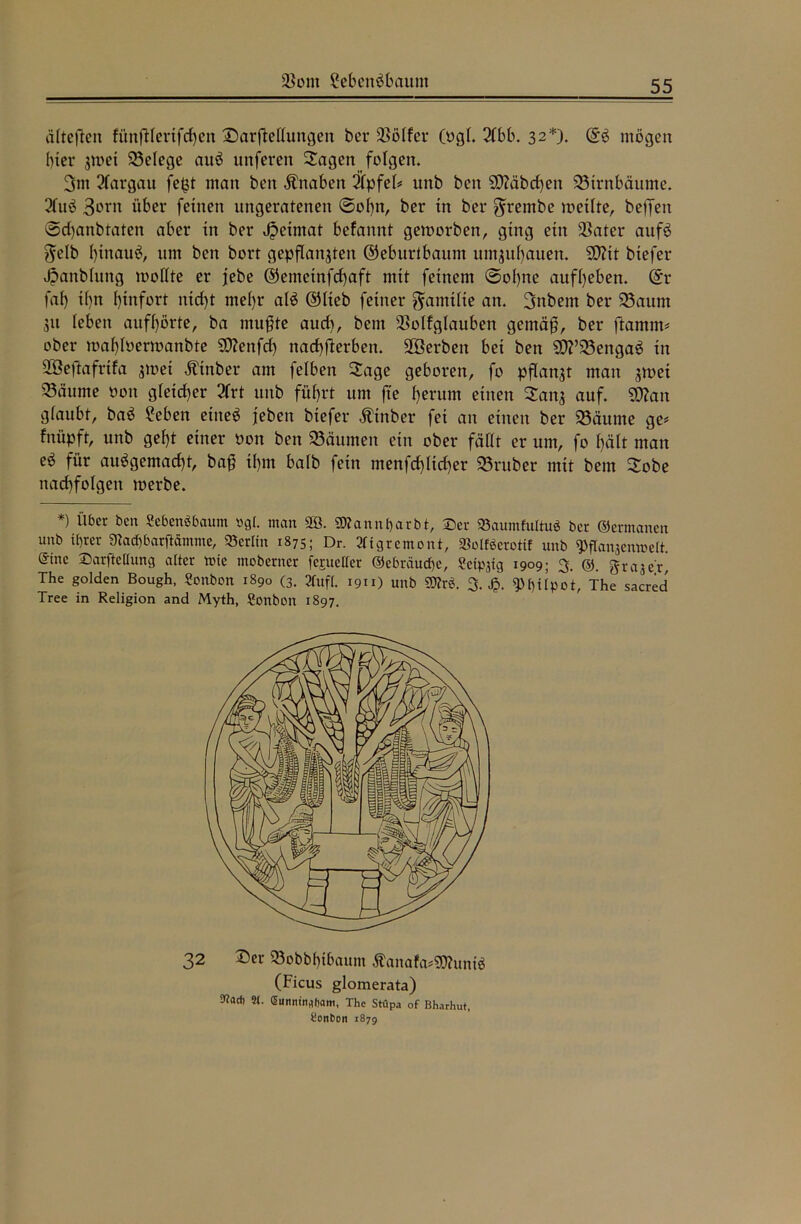 $cm 2ebenöbaum ältefien fün|Hcrtfcf)cn Darfiellungen ber 2>ölfer (ogl. 2(bb. 32*). di mögen f)ter zwei 25elege auö uitferen Sagen folgen. 3nt 2fargau fept man ben Knaben 2fpfel# unb ben SD?äbcf)en Birnbäume. 2fuö 3orn über feinen ungeratenen @ol)n, ber in ber $rembe weilte, bejfen ®d)anbtaten aber in ber Jpetmat befannt geworben, ging ein $ater aufö $clb l)inauö, um ben bort gepflanzten ©eburtbaum umzuf)auen. SD?it btefer Jpanblung wollte er jjebe ®emetnfd)aft mit feinem ©ol)ne aufl)eben. (Sr faf) il)n l)infort nid)t mel)r alö ©lieb feiner Familie an. 3nbem ber 23aum Sit leben auffjörte, ba mußte aud>, beut 23olfglaubett gemäß, ber flamm* ober wal)loerwanbte S0?enfcf) nad)fterben. 2Öerben bei ben S0?’33engaö in SÖefiafrifa zwei Äinber am felben Sage geboren, fo pflanzt man 33äume oon gleicher 2frt unb füf)rt um fte Ijerum einen Sans auf. Sföan glaubt, baö ?eben ettteö jeben btefer Ätnber fei an einen ber 25äume ge# fnüpft, unb gef>t einer oon ben Räumen ein ober fällt er um, fo f)ält man eö für auögemacf)t, baß il)tn halb fein menfcf)ltd)er Söruber mit bem Sobe nad)folgett werbe. *) Über ben ScbenSbaum ogl. man 3Ö. ÜRann^arbt, ©er »aumfuttuS ber ©ermatten unb ihrer 9tacf)barftamme, «erlitt 1875; Dr. 2ffgremont, »olßerotif unb ^flansemoelt. ©ine ©arftcltung alter tote ntoberncr fepeüer ©ebreiueöe, Setpjtg 1909; 3. ©. grajer The golden Bough, Sonbon 1890 (3. 2Cufi. 1911) unb SD?r$. 3. £. $f)ilpot, The sacred Tree in Religion and Myth, Sottbült 1897. 32 Der 33obbf)tbflum Äanafa*gjlunf$ (Ficus glomerata) Sttadi 2(. ßumunflljam, The Stupa of Bharhut, Sonbon 187g