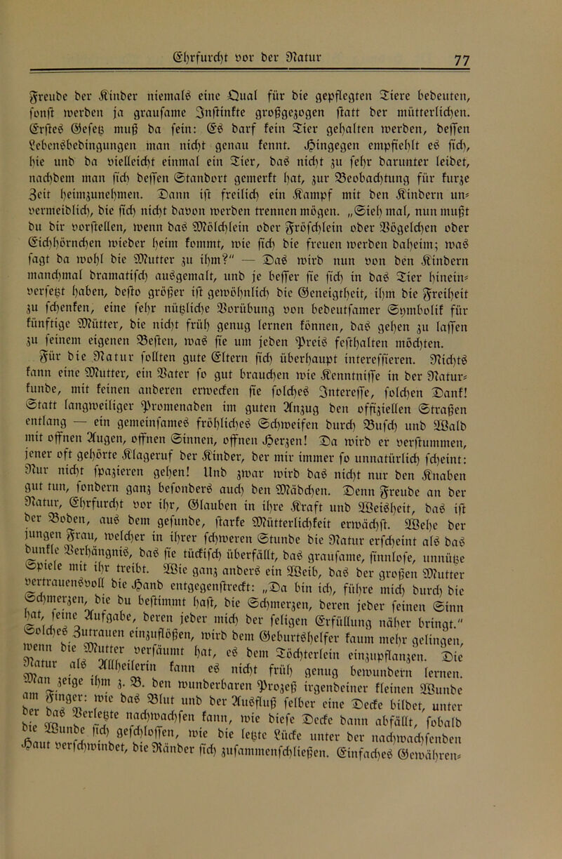 greube bcr Ätitber niemals eine Qual für bte gepflegten Stere bebeuten, fön ft werben ja graufante 3nfttnfte großgesogen ftatt ber mütterlichen. (Srfteö ©efeü muß ba fein: barf fern Ster gehalten werben, helfen Üebcnöbebinguitgen man nlcl)t genau fennt. hingegen entpfteblt eö ftd), bte ttitb ba ntelletcbt einmal ein Ster, baö nicht 511 fef)r barunter leibet, ttad)bent man ftd) helfen ©tanbort gemerft bat, gttr 23eobad)ttmg für fttrge 3cit b^äasunel)men. Dann ift fretltd) ein $ampf mit ben Äittbern uw uernteiblid), bie ftd) nicht baöon werben trennen mögen. „©tel)ntal, nun mußt btt btr oorftellen, wenn baö $D?old)letn ober $röfd)letn ober -Cögetdjen ober @td)l)örnd)en wieber beim fornmt, wie ftd) bie freuen werben babetnt; waö fagt ba wobl bie SDtatter ju if)nt? — Daö wirb nun non bett Ätnbern manchmal bramattfd) auögemalt, ttttb je beffer fte ftd) in baö Ster f)tnetw uerfet)t haben, befto größer ift gewöhnlich bte Geneigtheit, iljm bte Freiheit Su fchenfen, eine fel)r nü^liche Vorübung non bebeutfamer ©pntboltf für künftige ÜÄütter, bie nicht früh genug lernen fönnen, baö geben su laßen SU feinem eigenen SBefien, waö fte um jeben ^retö fehlten möchten. pr bte Ütatur füllten gute Eltern ftd) überhaupt intereffteren. 9Ud)tö fann eine Butter, ein $atcr fo gut brauchen wie Äenntniffe in ber Statur* funbe, mit feinen attberen erweefen fte folcheä Sntereße, folgen Danf! ötatt langweiliger ^rontenaben im guten 2fn$ug ben offiziellen ©trafen entlang — ein gentetnfanteö fröhliche* ©chweifen burd) S5ufch unb 2Balb mit offnen 2lugett, offnen ©innen, offnen Jperjen! Da wirb er nerftummen, jener oft gehörte Klageruf ber Ätnber, ber mir immer fo unnatürlich fchetnt: ^ur nicht fpajteren geben! Unb jwar wirb baö nicht nur ben Änaben gut tun, jottbern gans befonberö and) ben 90täbd)en. Denn ^reube an ber 9?atur, @l)rfurd)t oor ihr, Glauben in tl)re Äraft unb 2öeiöl)eit, baö ift ber 95oben, auö beut gefunbe, ftarfe 9J?ütterlid)fett erwäd)ft. 2ßel)e ber jungen ^rau. Welcher in ihrer fd)Weren ©tunbe bie Statur erfcheint al* ba* bunfle «erbangniö, ba* fte türfifd) überfällt, ba* graufante, ftnnlofe, unnüüe spiele mit tbr treibt. 2ßte gans anher* ein 2öetb, ba* bcr großen SDtatter nertrauenönoU bte Jpanb entgegenßreeft: „Da bin id), führe mtd) burd) bte ©d)tnersen, bte bu beftimmt l)aft, bie ©dpnersen, bereu jeber feinen ©tun bat jetne^ Aufgabe, bereu jeber mtd) ber feltgen Erfüllung näher bringt. ein^m' »irb bei” Geburtshelfer fattnt ntel)r gelingen, S t Ä Mrr “, e8 bcm WteMn etnjttpflanjen. Sic (Mn eg nid,t frül> flcm‘3 bcimmbent lernen, um <t;i 8 ' rount,ct6arc ^vojef irgenbeiner «einen SBunbe b w * t !! J81“! -unb bcr felbcr eine Secfe bilbei, unter ,,,ic bierc Scrfc b<> “f'fMt, fobnlb bte Sßunbe (id,gesoffen, ime bie (egte Siitfe unter ber nn^toaeftfenben .e>nut rerfdnmnbet, bteSKänber (id, jufmnmenfd,ließen. ©nfadjeS @etuäf,ren.