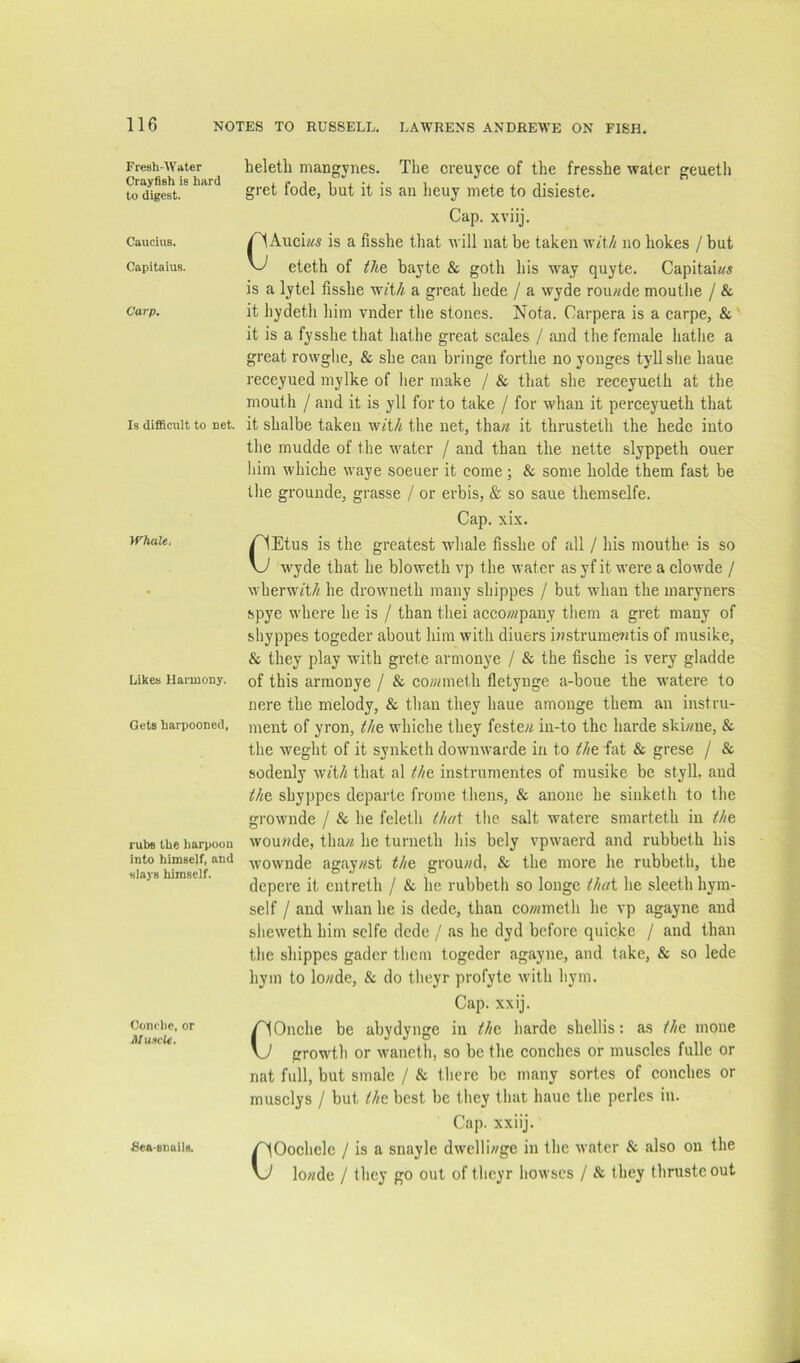 Fresh-Water Crayfish is hard to digest. Caucius. Capitaius. Carp. Is difificult to net. Whale, Likes Harmony. Gets harpooned, rubs the harpoon into himself, and slays himself. Conclie, or MukU. Rea-snuils. heletli mangynes. The creuyce of the fresshe water geueth gret fode, but it is an heuy mete to disieste. Cap. xviij. CAuci«s is a fisshe that will nat be taken wit// no liokes / but eteth of the bayte & goth his way quyte. Capitai«* is a lytel fisshe wit// a great hede / a wyde rou;/de mouthe / & it hydeth him vnder the stones. Nota. Carpera is a carpe, & it is a fysshe that bathe great scales / and the female bathe a great rowghe, & she can bringe forthe no yonges tyllshe haue receyued mylke of her make / & that she receyueth at the mouth / and it is yll for to take / for whan it perceyueth that it shalbe taken wit// the net, tha« it thrusteth the hede into the mudde of the M^ater / and than the nette slyppeth ouer him whiche waye soeuer it come; & some holde them fast be the grounde, grasse / or erbis, & so sane themselfe. Cap. xix. CEtus is the greatest whale fisshe of all / his mouthe is so wyde that he bloweth vp the water asyf it were a clowde / wherwit^. he drowneth many shippes / but whan the maryners spye where he is / than thei acco/z/pany them a gret many of shyppes togeder about him with diners iz/strumez/tis of musike, & they play with grete armonye / & the fische is very gladde of this arraouye / & cozz/meth fietynge a-boue the watere to nere the melody, & than they haue amonge them an instru- ment of yron, the whiche they festez/ in-to the harde skiz/ne, & the weght of it synketh downwarde in to ///efat & grese / & sodenly wit// that al the instrumentes of musike be styll, aud the shyppes departe frome then.s, & anone he sinketh to the grownde / & he feleth that tlie salt watere smarteth in the wouzzde, thaz/ he turneth his bely vpwaerd and rubbeth his wownde agayz/st the grouzzd, & the more he rubbeth, the depere it entreth / & he rubbeth so longe that he sleeth hym- self / and whan he is dede, than cozzzmeth he vp agayne and sheweth him sclfe dede / as he dyd before quicke / and than the shippes gader them togeder agayne, aud take, & so lede hyin to loz/de, & do theyr profyte with hym. Cap. xxij. COnche be abydynge in the harde shellis; as the mone growth or waneth, so be the conches or muscles fulle or nat full, but smale / & there be many sortes of conches or musclys / but the best be they that haue the perles in. Cap. xxiij. COochele / is a snayle dwclliz/ge in the water & also on the loz/de / they go out of theyr bowses / & they thruste out