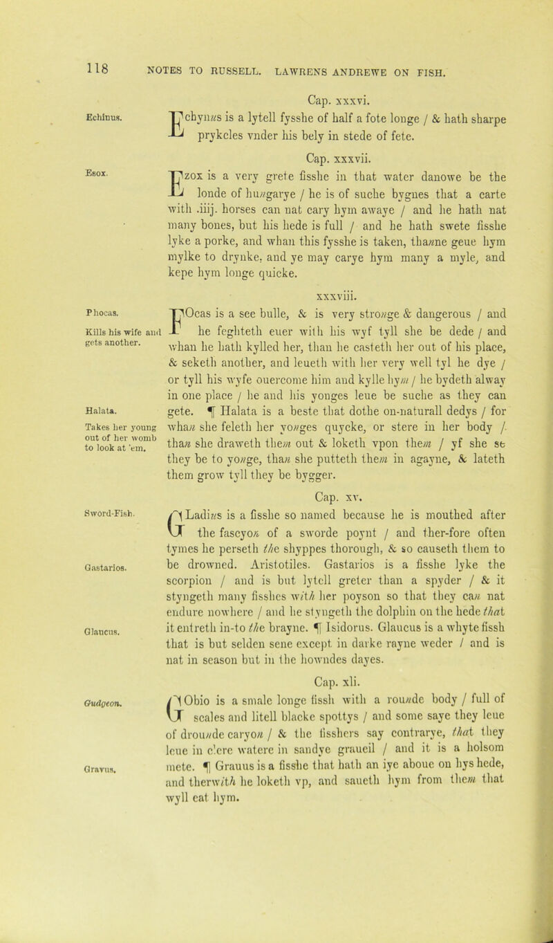 Echinus. Esoi. Phocas. Kills his wife and gets another. Halata. Cap. xxxvi. Echyn^^s is a lytell fysshe of half a fote longe / & hath sharpe prykcles vnder his bely in stede of fete. Cap. xxxvii. Ezox is a very grete lisslie in that water danowe be the londe of ]m;/garye / he is of suche bygues that a carte with .iiij. horses can uat cary hym awaye / and lie hath nat many bones, but his hede is full / and he hath swete fisshe lyke a porke, and whan this fysshe is taken, tha/me geue hym mylke to dryiike, and ye may carye hym many a myle, and kepe hym longe quicke. xxxviii. IlOcas is a see bulle, & is very stro«ge & dangerous / and he fegliteth euer with his wyf tyll she be dede / and whan he hath kylled her, than he castetli lier out of his place, & seketh another, and leueth with her very well tyl he dye / or tyll his wyfe ouercome him and kylle hy/« / he bydeth alway in one place / he and his yonges leue be suche as they can gete. ^ Halata is a beste that dothe on-naturall dedys / for Takes her young wha^i slie feleth her yo/zges quycke, or stere in her body /. tha?2 she draweth the;« out & loketh vpon the;« / yf she se they be to yo//ge, tha« she putteth them in agayne, & lateth them grow tyll they be bygger. Cap. XV. /t Ladi?fs is a Csshe so named because he is mouthed after VJ the fascyoA of a sworde poynt / and ther-fore often tymes he perseth i/ie shyppes thorough, & so causeth them to be drowned. Aristotiles. Gastarios is a fisshe lyke the scorpion / and is but lytell greter than a spyder / & it styngeth many fisshcs wit// her poyson so that they ca// nat endure nowhere / and he styngeth the dolphin on the hede i/iat itentreth in-to t/ie brayne. ^ Isidorus. Glaucus is a whytefissh that is but selden sene except in darke rayne weder / and is nat in season but in the howndes dayes. Cap. xli. G' Obio is a smalc longe fissli with a rou//de body / full of scales and litell blacke spottys / and some saye they leue of drou//de caryo/i / & the fisshers .say contrarye, that they leue in clcrc waterc in sandye graueil / and it is a holsora mete. ^ Grauus is a fisshe that hath an iye abouc on hys hede, and therw/t/i he loketh vp, and saueth hym from thew that wyll cat hym. out of her womb to look at 'em, Sword-Fish. Gastarios. Glaucus. Oudgeon, Graviis.