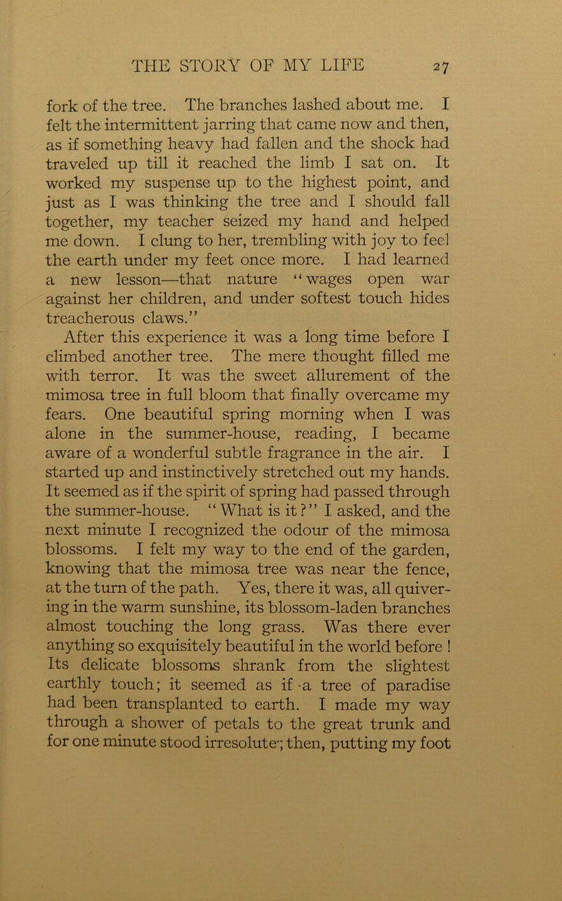 fork of the tree. The branches lashed about me. I felt the intermittent jarring that came now and then, as if something heavy had fallen and the shock had traveled up till it reached the limb I sat on. It worked my suspense up to the highest point, and just as I was thinking the tree and I should fall together, my teacher seized my hand and helped me down. I clung to her, trembling with joy to feel the earth under my feet once more. I had learned a new lesson—that nature ‘ ‘ wages open war against her children, and under softest touch hides treacherous claws.” After this experience it was a long time before I climbed another tree. The mere thought filled me with terror. It was the sweet allurement of the mimosa tree in full bloom that finally overcame my fears. One beautiful spring morning when I was alone in the summer-house, reading, I became aware of a wonderful subtle fragrance in the air. I started up and instinctively stretched out my hands. It seemed as if the spirit of spring had passed through the summer-house. “ What is it ?” I asked, and the next minute I recognized the odour of the mimosa blossoms. I felt my way to the end of the garden, knowing that the mimosa tree was near the fence, at the turn of the path. Yes, there it was, all quiver- ing in the warm sunshine, its blossom-laden branches almost touching the long grass. Was there ever anything so exquisitely beautiful in the world before ! Its delicate blossoms shrank from the slightest earthly touch; it seemed as if-a tree of paradise had been transplanted to earth. I made my way through a shower of petals to the great trunk and for one minute stood irresolute-; then, putting my foot