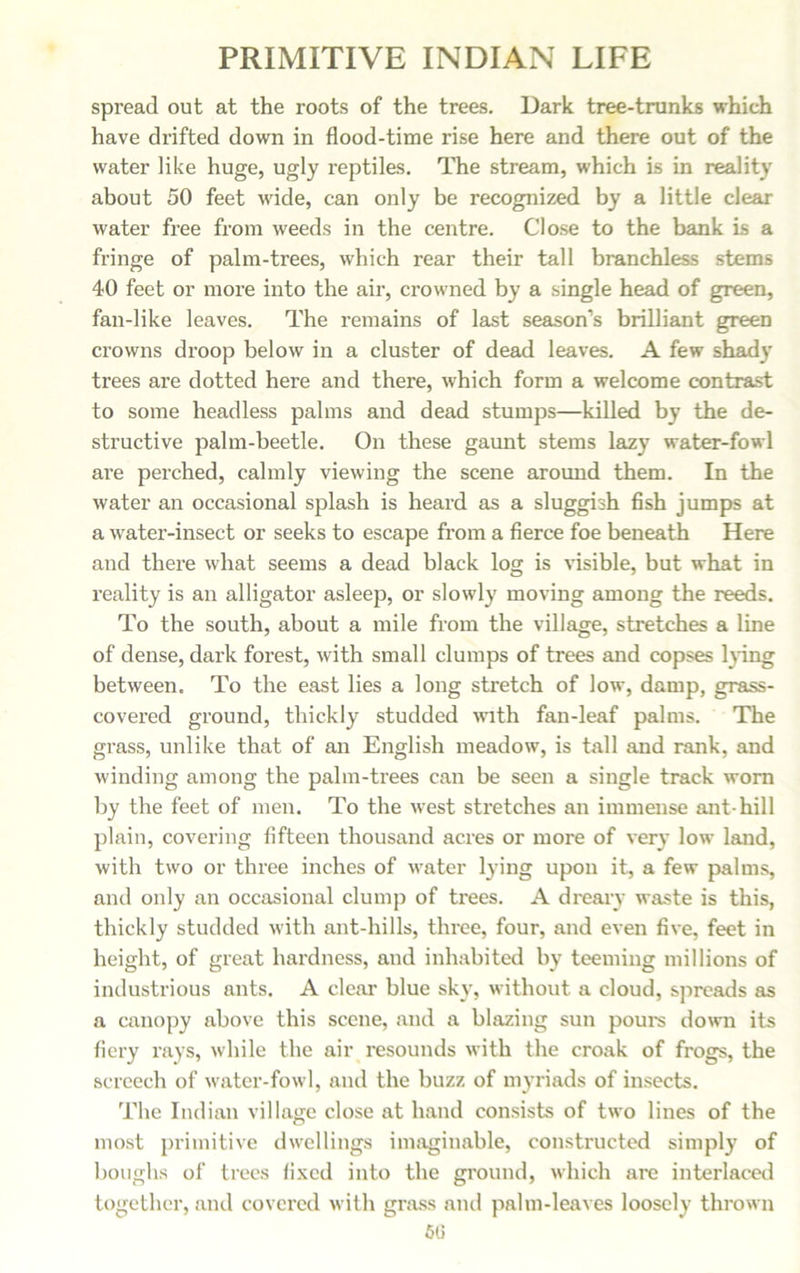 spread out at the roots of the trees. Dark tree-trunks which have drifted down in flood-time rise here and there out of the water like huge, ugly reptiles. The stream, which is in reality about 50 feet wide, can only be recognized by a little clear water free from weeds in the centre. Close to the bank is a fringe of palm-trees, which rear their tall branchless stems 40 feet or more into the air, crowned by a single head of green, fan-like leaves. The remains of last season’s brilliant green crowns droop below in a cluster of dead leaves. A few shady trees are dotted hei’e and there, which form a welcome contrast to some headless palms and dead stumps—killed by the de- structive palm-beetle. On these gaunt stems lazy water-fowl are perched, calmly viewing the scene around them. In the water an occasional splash is heard as a sluggish fish jumps at a water-insect or seeks to escape from a fierce foe beneath Here and there what seems a dead black log is visible, but what in reality is an alligator asleep, or slowly moving among the reeds. To the south, about a mile from the village, stretches a line of dense, dark forest, with small clumps of trees and copses lung between. To the east lies a long sti'etch of low, damp, grass- covered ground, thickly studded with fan-leaf palms. The grass, unlike that of an English meadow, is tall and rank, and winding among the palm-trees can be seen a single track worn by the feet of men. To the west stretches an immense ant-hill plain, covering fifteen thousand acres or more of very low land, with two or three inches of water lying upon it, a few palms, and only an occasional clump of trees. A dreary waste is this, thickly studded with ant-hills, three, four, and even five, feet in height, of great hardness, and inhabited by teeming millions of industrious ants. A clear blue sky, without a cloud, spreads as a canopy above this scene, and a blazing sun pours down its fiery rays, while the air resounds with the croak of frogs, the screech of water-fowl, and the buzz of myriads of insects. The Indian village close at hand consists of two lines of the most primitive dwellings imaginable, constructed simply of boughs of trees fixed into the ground, which are interlaced together, and covered with grass and palm-leaves loosely thrown