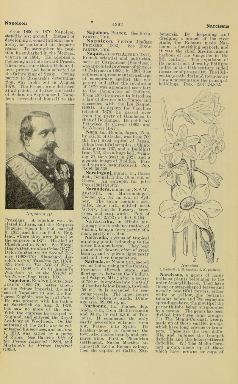 From 18()0 to 1870 Napoleon steadily lost ground. Instead of developing a constitutional mon- archy, he continued his despotic regime. To strengthen his posi- tion, he embarked in the Mexican venture in 18G4. He adopted a menacing attitude toward Prussia when news came that a Hohenzol- lern prince had been selected as the future king of 8pain. Owing partly to Bismarck’s determina- tion, war broke out in August 1870. The French were defeated at all points, and after the battle of Sedan, on September 1, Napo- leon surrendered himself to the Napoleon iii. Prussians. A republic was de- clared in Paris, and the Empress Eugenie, whom he had married in 1853, and his son fled to Eng- land, where they were joined by the emperor in 1871. He died at Chislehurst in Kent. See Victor Hugo’s Histoire d’un Crime(1877); Delord’s Histoh’c du Second Em- pire (1868-75); Blanchard Jer- rold’s Life of Napoleon in. (1874- 83); Forbes’s The Life of Napo- leon in. {18!)8); I. de St. Amand’s Napoleon in. at the Height of his Power C&nK. trans. 1001). Napoleon, Eugkne Louis .Jean Joseph (1856-79), better known as the Prince Imperial, the only son of Napoleon in. and the Em- press Eugenie, was born at Paris. He was jiresent with his father at Saarbriick on Aug. .3, 1870, but saw no more of the war. With the empress he escape«l to England, and entered the lloval Academy at Woolwich. On the outbreak of the Zulu war he vol- unteered his services, and on .June 1, 1879, was kille<l by a party of Zulus. See Barlee’s Life of the Prince Imperial (1880), and IMartinet’s Le Prince Imperial (1895). 4292 Napoleon, Pkince. See Bo\a- PAHTES, The. Napoleon, Victok JehOme Frederic (1862). See Bona- PARTES, The. Naquet, Joseph Alfred (1834), French scientist and politician, born at Carpentras (Vaucluse); wasappointedprofes.sor of physics at Palernio in 1863; in 1867-8 he suffered imprisonment on a charge of conspiracy against the em- perorj and after the revolution of 1870 was appointed secretary to the t'ommittee of Defence. From 1876 he strove to introduce a law of divorce into France, and succeeded witli the Loi Naquet (1884). As deputy for Vaucluse (elected 1879) he passed over from the party of Gambetta to that of Boulanger. He published Principes de Vhimie (1865) and Le Divorce (1877). Nara, tu., Hondo, Japan, 25 m. by rail E. of Osaka, was from 709 the first fixed capital of Japqn. It has beautiful temples, a Shinto dating from 767, and a Buddhist from 752, also a huge bell, weigh- ing .37 tons (cast in 732), and a gigantic image of Buddha. Fans and toys are manufactured. l*op. (1898) 30,539. Narainganj, mimic, tn., Dacca (list., Bengal, India, 10 m. s.e. of Dacca. An entrep6t for jute. Pop. (1901)24,472. Narandera, munic. tn., N.S.W., Australia, on Murrumhidgee, Cooper CO., 347 m. ,s.w. of Syd- ney. The town contains saw- mills, flour mill, chilled meat factory, bicycle factory, breM'- eries, and soap works. Pop. of bor. (1901) 2,252; of dist. 9,194. Narasinha, in Hindu my- thology the fourth incarnation of Vishnu, being a form partly of a man, partly of a lion. Naravelia, a genus of tropical climbing plants belonging to the order Ranunculaceie. They bear panicles of flowers, often of great beauty, and require a light peaty soil and stove temperature. Narbada, or Nerbudda, sacred riv. of India, rising in the Central Provinces (Rewah state), and flowing s.w. between the Vindliya and Satpura Mts.; after a course of 750 m. it empties into the Gulf of Cambay below Broach, to which (50 m.) it is ascended by sea- going vessels. The upjier course is much broken by rapids. Drain- age area., 39,000 sq. m. Narbonne, tn., France, dep. Aude, 8 m. from Mediterranean and 94 m. by rail E.S.E. of Tou- louse. It commands the only easily accessible entrance from .s.w. France into Spain. Its heather - honey is famous ; the town also makes brandy and iire- pares wine. First a Phoenician settlement, Narho Martins be- came (118 B.c.) a Roman colony, tlien the capital of Gallia Na'r- Narcissus bonensis. By deepening and dredging a branch of the river Aude, the Romans made Nar- bonne a flourisliiug seaport, and it was the cliief Mediterranean harbour of tlie Visigoths in the 5th century. The expulsion of its industrious Jews by Philippe le Bel in the I4th century ended its career of prosperity. The 13th- century cathedral and town-house (now a museum) are the principal Imildings. Pop. (1901)28,852. Narcissus, a genus of hardy bulbous plants belonging to the order Amaryllidaceae. They have linear or strap-shaped leaves and usually beautiful flowers, either white or yellow, .^he perianth tubular below and its segments spreading above, the mout^of the perianth-tube being surmounted by a corona. The genus has been divided into three large groups: (1.) The Magni-Coronati group, made up of those smaller groups which have long crowns or trum- liets. Those are the true dafl'o- dils, and embrace the trumpet daffodils and the hooivjietticoat daffodils. (2.) The Medio-Coro- nati grouii, made up of those which have crowns or cups of