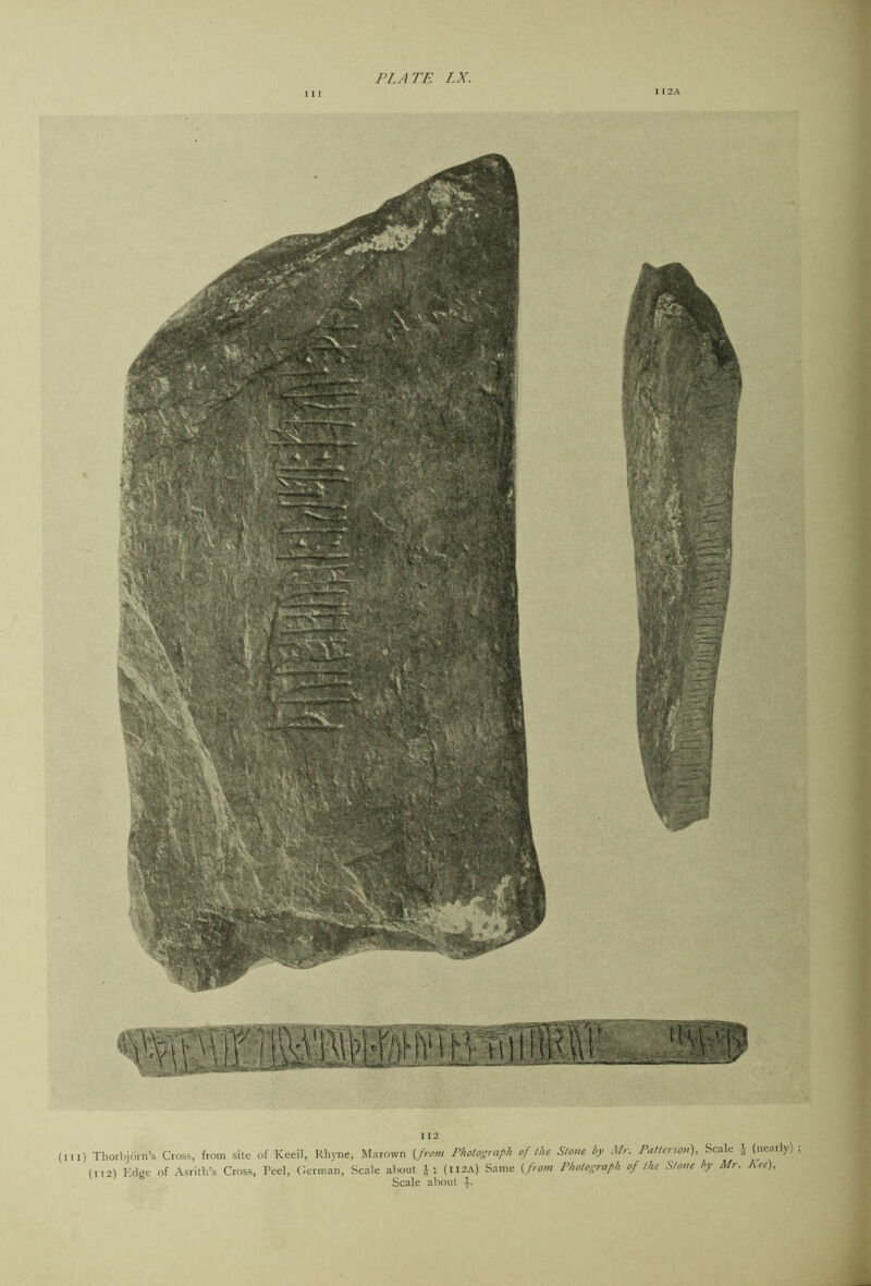 \ 2A I I I I 12 (III) Thoibjiirn’s Cross, from site of Keeil, Rhyne, Mnrown {from Photograph of the Stone by Mr. Patterson'), Scale J (Marly) ; (1121 Kclire of Asrith’s Cross, Peel, Ccrman, Scale about (ii2A) Same {from Photograph of the .Stone by Mr. Kee), Scale about \.