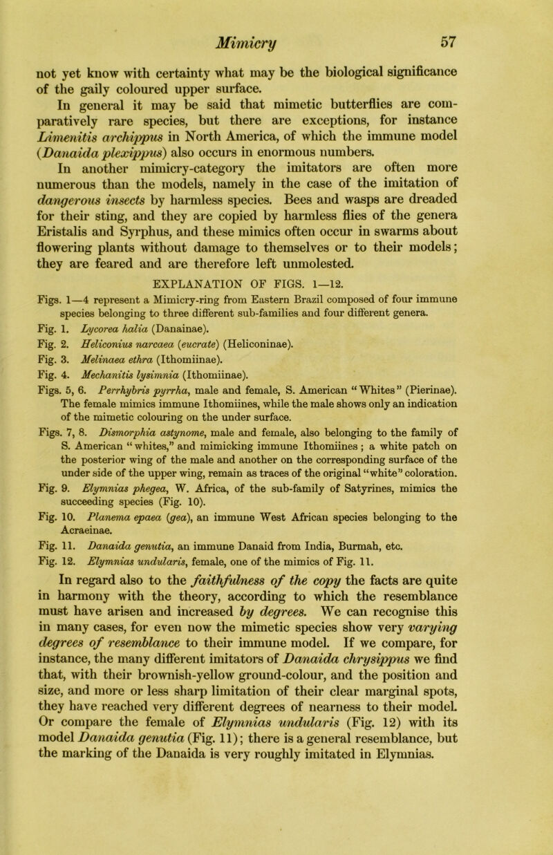 not yet know with certainty what may be the biological significance of the gaily coloured upper surface. In general it may be said that mimetic butterflies are com- paratively rare species, but there are exceptions, for instance Limenitis archippus in North America, of which the immune model (.Danaida plexippus) also occurs in enormous numbers. In another mimicry-category the imitators are often more numerous than the models, namely in the case of the imitation of dangerous insects by harmless species. Bees and wasps are dreaded for their sting, and they are copied by harmless flies of the genera Eristalis and Syrphus, and these mimics often occur in swarms about flowering plants without damage to themselves or to their models; they are feared and are therefore left unmolested. EXPLANATION OF FIGS. 1—12. Figs. 1—4 represent a Mimicry-ring from Eastern Brazil composed of four immune species belonging to three different sub-families and four different genera. Fig. 1. Lycorea halia (Danainae). Fig. 2. Heliconius narcaea (eucrate) (Heliconinae). Fig. 3. Melinaea ethra (Ithomiinae). Fig. 4. Mechanitis lysimnia (Ithomiinae). Figs. 5, 6. Perrhybris pyrrha, male and female, S. American “Whites” (Pierinae). The female mimics immune Ithomiines, while the male shows only an indication of the mimetic colouring on the under surface. Figs. 7, 8. Dismorphia astynome, male and female, also belonging to the family of S. American “ whites,” and mimicking immune Ithomiines; a white patch on the posterior wing of the male and another on the corresponding surface of the under side of the upper wing, remain as traces of the original “white” coloration. Fig. 9. Elymnias phegea, W. Africa, of the sub-family of Satyrines, mimics the succeeding species (Fig. 10). Fig. 10. Planema epaea (c/ea), an immune West African species belonging to the Acraeinae. Fig. 11. Danaida genutia, an immune Danaid from India, Burmah, etc. Fig. 12. Elymnias undularis, female, one of the mimics of Fig. 11. In regard also to the faithfulness of the copy the facts are quite in harmony with the theory, according to which the resemblance must have arisen and increased by degrees. We can recognise this in many cases, for even now the mimetic species show very varying degrees of resemblance to their immune model. If we compare, for instance, the many different imitators of Danaida chrysippus we find that, with their brownish-yellow ground-colour, and the position and size, and more or less sharp limitation of their clear marginal spots, they have reached very different degrees of nearness to their model. Or compare the female of Elymnias undularis (Fig. 12) with its model Danaida genutia (Fig. 11); there is a general resemblance, but the marking of the Danaida is very roughly imitated in Elymnias.