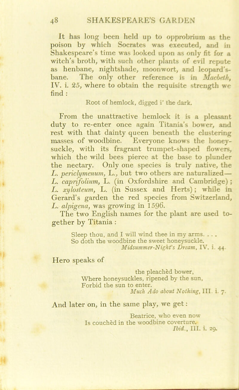 It has long been held up to opprobrium as the poison by which Socrates was executed, and in Shakespeare’s time was looked upon as only fit for a witch’s broth, with such other plants of evil repute as henbane, nightshade, moonwort, and leopard's- bane. The only other reference is in Macbeth, IV. i. 25, where to obtain the requisite strength we find : Root of hemlock, digged i’ the dark. From the unattractive hemlock it is a pleasant duty to re-enter once again Titania’s bower, and rest with that dainty queen beneath the clustering masses of woodbine. Everyone knows the honey- suckle, with its fragrant trumpet-shaped flowrers, which the wild bees pierce at the base to plunder the nectary. Only one species is truly native, the L. periclymenum, L., but two others are naturalized— L. capnfolium, L. (in Oxfordshire and Cambridge); L. xylosteum, L. (in Sussex and Herts); while in Gerard’s garden the red species from Switzerland, L. alpigena, was growing in 1596. The two English names for the plant are used to- gether by Titania : Sleep thou, and I will wind thee in my arms. . . . So doth the woodbine the sweet honeysuckle. Midsummer-Night’s Dream, IV. i. 44. Hero speaks of the pleached bower, Where honeysuckles, ripened by the sun. Forbid the sun to enter. Much Ado about Nothing, III. i. 7. And later on, in the same play, we get : Beatrice, who even now Is couched in the woodbine coverture. Ibid., III. i. 29.