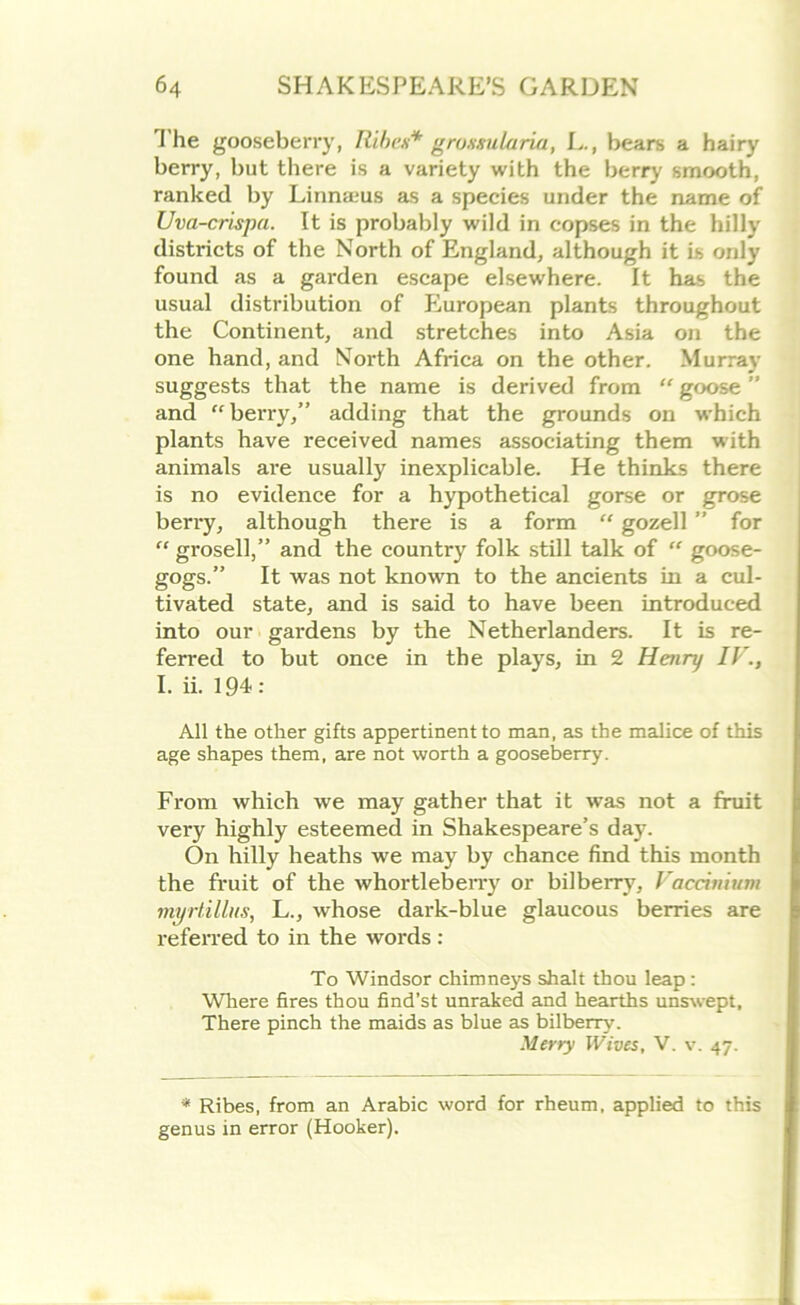 The gooseberry, Ribcs* groxsularia, L., bears a hairy berry, but there is a variety with the berry smooth, ranked by Linnams as a species under the name of Uva-crispa. It is probably wild in copses in the hilly districts of the North of England, although it is only found as a garden escape elsewhere. It has the usual distribution of European plants throughout the Continent, and stretches into Asia on the one hand, and North Africa on the other. Murray suggests that the name is derived from “ goose ” and “berry,” adding that the grounds on which plants have received names associating them with animals are usually inexplicable. He thinks there is no evidence for a hypothetical gorse or grose berry, although there is a form “ gozell ” for “ grosell,” and the country folk still talk of “ goose- gogs.” It was not known to the ancients in a cul- tivated state, and is said to have been introduced into our gardens by the Nether landers. It is re- ferred to but once in the plays, in 2 Henry IV., I. ii. 194 : All the other gifts appertinent to man, as the malice of this age shapes them, are not worth a gooseberry. From which we may gather that it was not a fruit very highly esteemed in Shakespeare’s day. On hilly heaths we may by chance find this month the fruit of the whortleberry or bilberry, Vaccinium myrtillus, L., whose dark-blue glaucous berries are referred to in the words : To Windsor chimneys shalt thou leap: Where fires thou find’st unraked and hearths unswept. There pinch the maids as blue as bilberry. Merry Wives, V. v. 47. * Ribes, from an Arabic word for rheum, applied to this genus in error (Hooker).