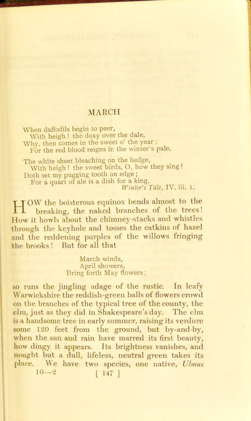 MARCH When daffodils begin to peer, With heigh ! the doxy over the dale, Why, then comes in the sweet o’ the year ; For the red blood reigns ir. the winter’s pale. The white sheet bleaching on the hedge, With heigh ! the sweet birds, O, how they sing! Doth set my pugging tooth on edge ; For a quart of ale is a dish for a king. Winter’s Tale, IV. iii. i. HOW the boisterous equinox bends almost to the breaking, the naked branches of the trees! How it howls about the chimney-stacks and whistles through the keyhole and tosses the catkins of hazel and the reddening purples of the willows fringing the brooks ! But for all that March winds, April showers, Bring forth May flowers ; so runs the jingling adage of the rustic. In leafy Warwickshire the reddish-green balls of flowers crowd on the branches of the typical tree of the county, the elm, just as they did in Shakespeare’s day. The elm is a handsome tree in early summer, raising its verdure some 120 feet from the ground, but by-and by, when the sun and rain have marred its first beauty, how dingy it appears. Its brightness vanishes, and nought but a dull, lifeless, neutral green takes its place. We have two species, one native, Ulmux