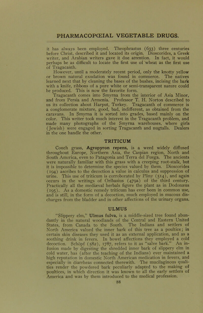 it has always been employed. Theophrastus (633) three centuries before Christ, described it and located its origin. Dioscorides, a Greek writer, and Arabian writers gave it due attention. In fact, it would perhaps be as difficult to locate the first use of wheat as the first use of Tragacanth. However, until a moderately recent period, only the knotty yellow or brown natural exudation was found in commerce. The natives learned next that by cleaning the bases of the bushes, incising the bark with a knife, ribbons of a pure white or semi-transparent nature could be produced. This is now the favorite form. Tragacanth comes into Smyrna from the interior of Asia Minor, and from Persia and Armenia. Professor T. H. Norton described to us its collection about Harput, Turkey. Tragacanth of commerce is a conglomerate mixture, good, bad, indifferent, as obtained from the caravans. In Smyrna it is sorted into grades, based mainly on the color. This writer took much interest in the Tragacanth problem, and made many photographs of the Smyrna warehouses, where girls (Jewish) were engaged in sorting Tragacanth and nugtalls. Dealers in the one handle the other. TRITICUM Couch grass, Agropyron repens, is a weed widely diffused throughout Europe, Northern Asia, the Caspian region, North and South America, even to Patagonia and Terra del Fuega. The ancients were naturally familiar with this grass with a creeping root-stalk, but it is impossible to determine the species valued by them. Dioscorides (194) ascribes to the decoction a value in calculus and suppression of urine. This use of triticum is corroborated by Pliny (514), and again occurs in the writings of Oribasius (479a) of the third century. Practically all the mediaeval herbals figure the plant as in Dodonaeus (195) . As a domestic remedy triticum has ever been in common use, and is still, in the form of a decoction, much employed in mucous dis- charges from the bladder and in other affections of the urinary organs. ULMUS “Slippery elm,” Ulmus fulva, is a middle-sized tree found abun- dantly in the natural woodlands of the Central and Eastern United States, from Canada to the South. The Indians and settlers of North America valued the inner bark of this tree as a poultice; in certain skin diseases they used it as an external application, and as a soothing drink in fevers. In bowel affections they employed a cold decoction. Schopf (582), 1787, refers to it as “salve bark.” An in- fusion made by digesting the shredded inner bark of slippery elm in cold water, has (after the teaching of the Indians) ever maintained a high reputation in domestic North American medication in fevers, and especially in diarrheas connected therewith. The mucilaginous quali- ties render the powdered bark peculiarly adapted to the making of poultices, in which direction it was known to all the early settlers of America and was by them introduced to the medical profession.
