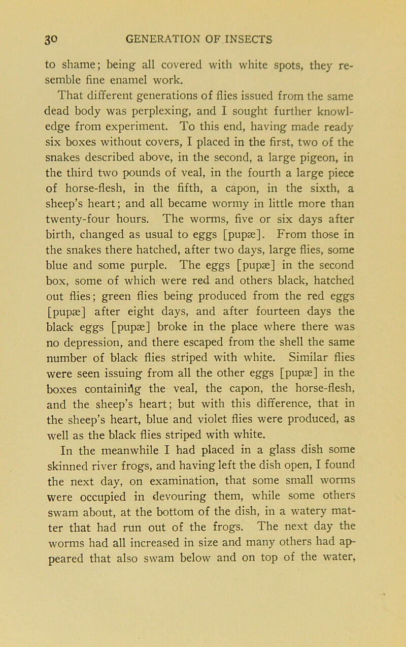 to shame; being all covered with white spots, they re- semble fine enamel work. That different generations of flies issued from the same dead body was perplexing, and I sought further knowl- edge from experiment. To this end, having made ready six boxes without covers, I placed in the first, two of the snakes described above, in the second, a large pigeon, in the third two pounds of veal, in the fourth a large piece of horse-flesh, in the fifth, a capon, in the sixth, a sheep’s heart; and all became wormy in little more than twenty-four hours. The worms, five or six days after birth, changed as usual to eggs [pupae]. From those in the snakes there hatched, after two days, large flies, some blue and some purple. The eggs [pupae] in the second box, some of which were red and others black, hatched out flies; green flies being produced from the red eggs [pupae] after eight days, and after fourteen days the black eggs [pupae] broke in the place where there was no depression, and there escaped from the shell the same number of black flies striped with white. Similar flies were seen issuing from all the other eggs [pupae] in the boxes containing the veal, the capon, the horse-flesh, and the sheep’s heart; but with this difference, that in the sheep’s heart, blue and violet flies were produced, as well as the black flies striped with white. In the meanwhile I had placed in a glass dish some skinned river frogs, and having left the dish open, I found the next day, on examination, that some small worms were occupied in devouring them, while some others swam about, at the bottom of the dish, in a watery mat- ter that had run out of the frogs. The next day the worms had all increased in size and many others had ap- peared that also swam below and on top of the water,