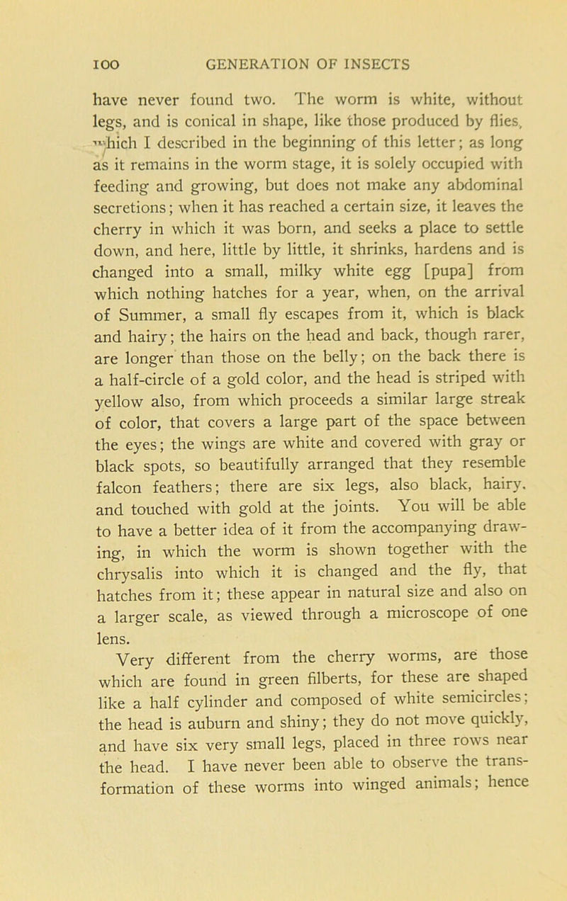 have never found two. The worm is white, without legs, and is conical in shape, like those produced by flies, •■'inch I described in the beginning of this letter; as long as it remains in the worm stage, it is solely occupied with feeding and growing, but does not make any abdominal secretions; when it has reached a certain size, it leaves the cherry in which it was born, and seeks a place to settle down, and here, little by little, it shrinks, hardens and is changed into a small, milky white egg [pupa] from which nothing hatches for a year, when, on the arrival of Summer, a small fly escapes from it, which is black and hairy; the hairs on the head and back, though rarer, are longer than those on the belly; on the back there is a half-circle of a gold color, and the head is striped with yellow also, from which proceeds a similar large streak of color, that covers a large part of the space between the eyes; the wings are white and covered with gray or black spots, so beautifully arranged that they resemble falcon feathers; there are six legs, also black, hairy, and touched with gold at the joints. You will be able to have a better idea of it from the accompanying draw- ing, in which the worm is shown together with the chrysalis into which it is changed and the fly, that hatches from it; these appear in natural size and also on a larger scale, as viewed through a microscope of one lens. Very different from the cherry worms, are those which are found in green filberts, for these are shaped like a half cylinder and composed of white semicircles, the head is auburn and shiny; they do not move quickl)7-, and have six very small legs, placed in three rows near the head. I have never been able to observe the trans- formation of these worms into winged animals; hence
