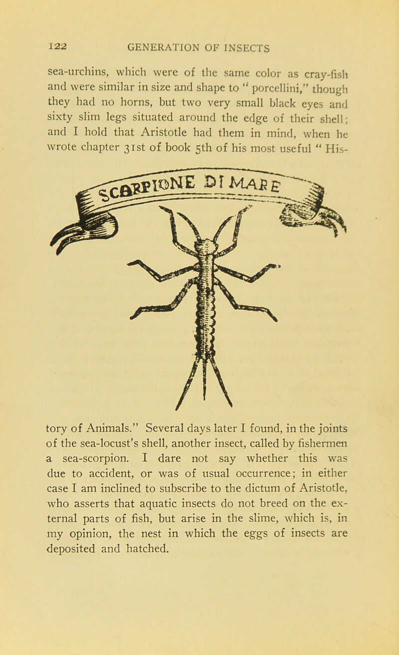 sea-urchins, which were of the same color as cray-fish and were similar in size and shape to “ porcellini,” though they had no horns, but two very small black eyes and sixty slim legs situated around the edge of their shell; and I hold that Aristotle had them in mind, when he wrote chapter 31st of book 5th of his most useful “ His- tory of Animals.” Several days later I found, in the joints of the sea-locust’s shell, another insect, called by fishermen a sea-scorpion. I dare not say whether this was due to accident, or was of usual occurrence; in either case I am inclined to subscribe to the dictum of Aristotle, who asserts that aquatic insects do not breed on the ex- ternal parts of fish, but arise in the slime, which is, in my opinion, the nest in which the eggs of insects are deposited and hatched.