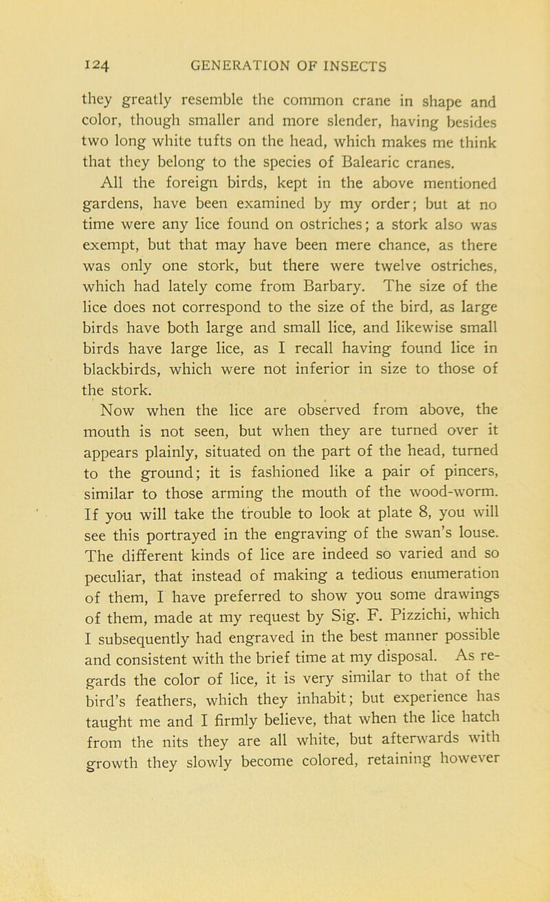 they greatly resemble the common crane in shape and color, though smaller and more slender, having besides two long white tufts on the head, which makes me think that they belong to the species of Balearic cranes. All the foreign birds, kept in the above mentioned gardens, have been examined by my order; but at no time were any lice found on ostriches; a stork also was exempt, but that may have been mere chance, as there was only one stork, but there were twelve ostriches, which had lately come from Barbary. The size of the lice does not correspond to the size of the bird, as large birds have both large and small lice, and likewise small birds have large lice, as I recall having found lice in blackbirds, which were not inferior in size to those of the stork. Now when the lice are observed from above, the mouth is not seen, but when they are turned over it appears plainly, situated on the part of the head, turned to the ground; it is fashioned like a pair of pincers, similar to those arming the mouth of the wood-worm. If you will take the trouble to look at plate 8, you will see this portrayed in the engraving of the swan’s louse. The different kinds of lice are indeed so varied and so peculiar, that instead of making a tedious enumeration of them, I have preferred to show you some drawings of them, made at my request by Sig. F. Pizzichi, which I subsequently had engraved in the best manner possible and consistent with the brief time at my disposal. As re- gards the color of lice, it is very similar to that of the bird’s feathers, which they inhabit; but experience has taught me and I firmly believe, that when the lice hatch from the nits they are all white, but afterwards with growth they slowly become colored, retaining however