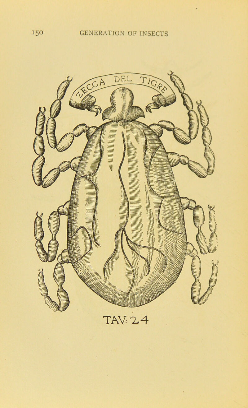 TAV-Q.4