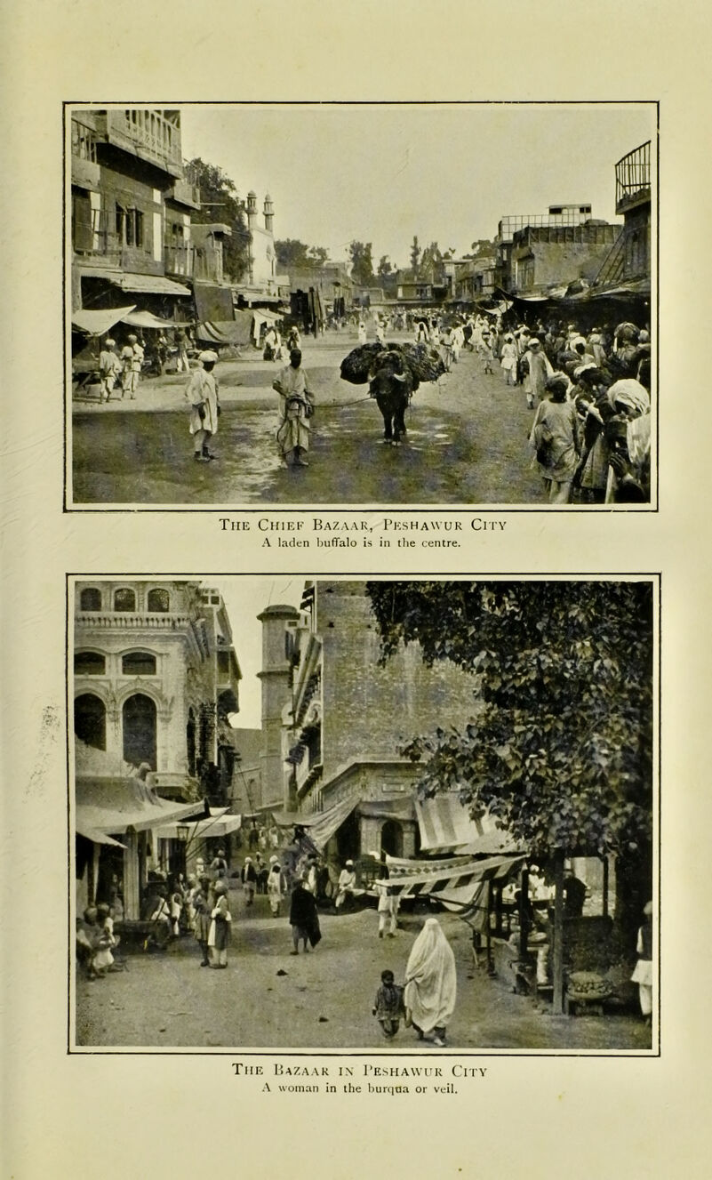 The Chief Bazaar, Pkshawur City A laden buffalo is in the centre. The Bazaar in I’eshawur City A woman in the burqoa or veil.