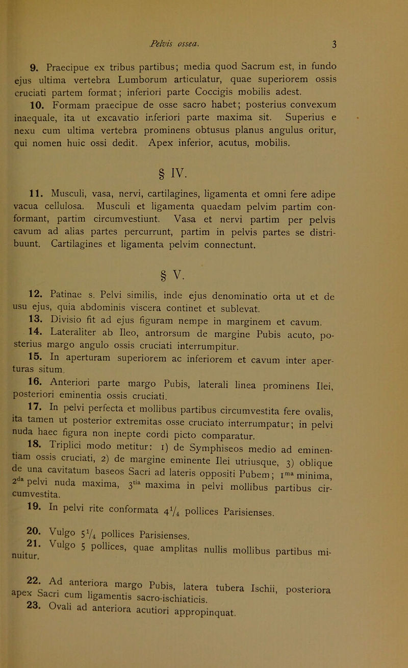 9. Praecipue ex tribus partibus; media quod Sacrum est, in fundo ejus ultima vertebra Lumborum articulatur, quae superiorem ossis cruciati partem format; inferiori parte Coccigis mobilis adest. 10. Formam praecipue de osse sacro habet; posterius convexum inaequale, ita ut excavatio inferiori parte maxima sit. Superius e nexu cum ultima vertebra prominens obtusus planus angulus oritur, qui nomen huic ossi dedit. Apex inferior, acutus, mobilis. § IV. 11. Musculi, vasa, nervi, cartilagines, ligamenta et omni fere adipe vacua cellulosa. Musculi et ligamenta quaedam pelvim partim con- formant, partim circumvestiunt. Vasa et nervi partim per pelvis cavum ad alias partes percurrunt, partim in pelvis partes se distri- buunt. Cartilagines et ligamenta pelvim connectunt. § V. 12. Patinae s. Pelvi similis, inde ejus denominatio orta ut et de usu ejus, quia abdominis viscera continet et sublevat. 13. Divisio fit ad ejus figuram nempe in marginem et cavum. 14. Lateraliter ab Ileo, antrorsum de margine Pubis acuto, po- sterius margo angulo ossis cruciati interrumpitur. 15. In aperturam superiorem ac inferiorem et cavum inter aper- turas situm. 16. Anteriori parte margo Pubis, laterali linea prominens Ilei, posteriori eminentia ossis cruciati. 17. In pelvi perfecta et mollibus partibus circumvestita fere ovalis, ita tarnen ut posterior extremitas osse cruciato interrumpatur; in pelvi nuda haec figura non inepte cordi picto comparatur. 18. Triplici modo metitur: i) de Symphiseos medio ad eminen- tiam ossis cruciati, 2) de margine eminente Ilei utriusque, 3) oblique de una cavitatum baseos Sacri ad lateris oppositi Pubem; ima minima 2 a pelvi nuda maxima, 3* maxima in pelvi mollibus partibus cir- cumvestita. 19. In pelvi rite conformata 4y4 pollices Parisienses. 20. Vulgo 5Y4 pollices Parisienses. nutar.' VU'g° 5 POll'CeS' q“ae araP,itas millis mollibus partibus mi- Jatera tubera Ischii, 22 Ad anteriora margo Pubis, latera apex Sacn cum ligamentis sacro-ischiaticis. 23. Ovali ad anteriora acutiori appropinquat