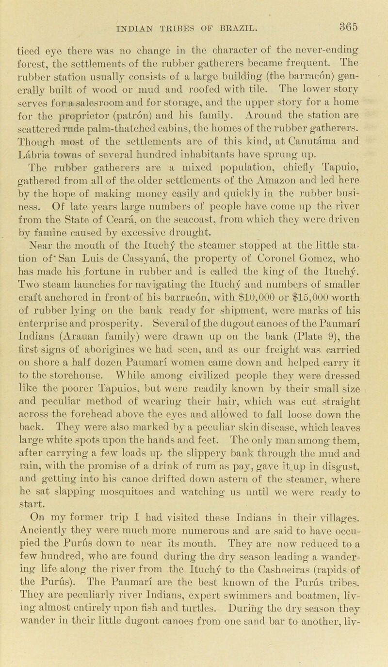 ticcd there was no change in the character ot the never-ending forest, the settlements of the rubber gatherers became frequent. The rul)ber station usually consists of a large building (the barracon) gen- erall}'^ built of wood or mud and roofed with tile. The lower story serves for a salesroom and for storage, and the upper story for a home for the proprietor (patron) and his famil}\ Around the station are scattered rude palm-thatched cabins, the homes of the rubber gatherers. Thoiurh most of the settlements are of this kind, at Canutama and Labria towns of several hundred inhabitants have sprung up. 'Fhe rubber gatherers are a mixed population, chiefly Tapuio, gathered from all of the older settlements of the Amazon and led here by the hope of making nione}^ easily and quickly in the rubber busi- ness. Of late years large numbers of people have come up the river from the State of Ceani, on the seacoast, from which they were driven b}'' famine caused by excessive drought. Near the mouth of the Ituchy the steamer stopped at the little sta- tion of* San Luis de Cassyana, the propert}^ of Coronel Gomez, who has made his fortune in rubber and is called the king of the Ituch3'L Two steam launches for navigating the Ituch}'^ and numbers of smaller craft anchored in front of his barracon, with $10,000 or $15,000 worth of rubber l^dng on the bank read}^ for shipment, were marks of his enterprise and prosperit3^ Several of the dugout canoes of the Paumari Indians (Arauan famil3^) were drawn iq3 on the bank (Plate 9), the first signs of aborigines we had seen, and as our freight was carried on shore a half dozen Paumari women came down and helped cany it to the storehouse. While among civilized people the3 were dressed like the poorer Tapuios, but were readily known by their small size and peculiar method of wearing their hair, which was cut straight across the forehead above the e3^es and allowed to fall loose down the back. The3’ were also marked )i3^ a peculiar skin disease, which leaves large white spots upon the hands and feet. The onl3^ man among them, after canying a few loads uy^ the slippeiy bank through the mud and rain, with the promise of a drink of rum as pa3q gave it.up in disgust, and getting into his canoe drifted down astern of the steamer, where he .sat slapping mosquitoes and watching us until we were rcad3'^ to start. On my former trip I had visited these Indians in their villages. Anciently the3'‘ were much more numerous and are said to have occu- pied the Purus down to near its mouth. The3^ are now reduced to a few hundred, who are found during the dry season leading a wander- ing life along the river from the Ituch_f to the Cashoeiras (rapids of the Puru.s). The Paumari are the best known of the Purus tribes. They are peculiarl3'^ river Indians, expert swimmers and boatmen, liv- ing almost entirely upon fish and turtles. During the dry season they wander in their little dugout canoes from one sand bar to another, liv-